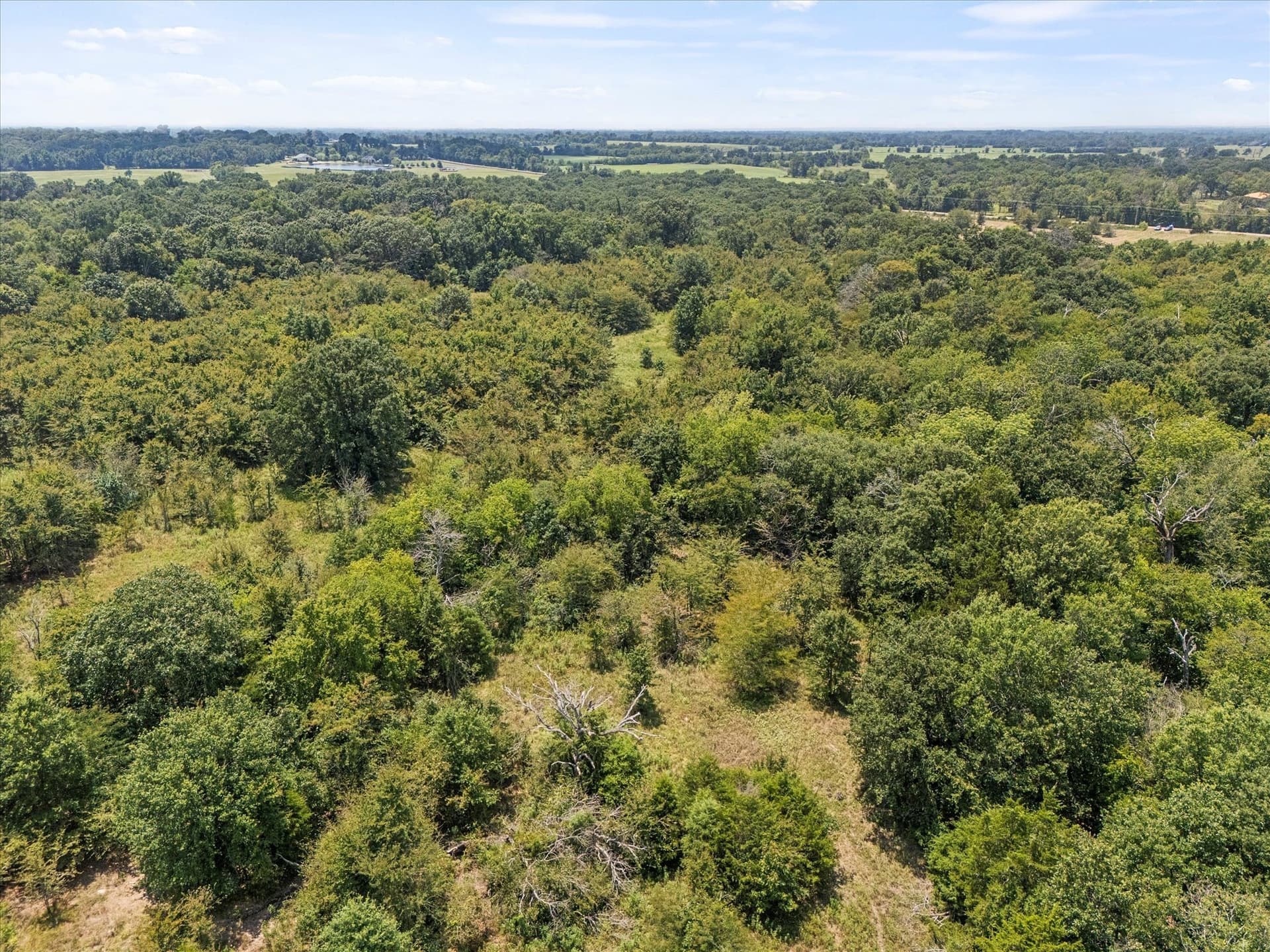 21.64 acres in Van Zandt County - photo 16