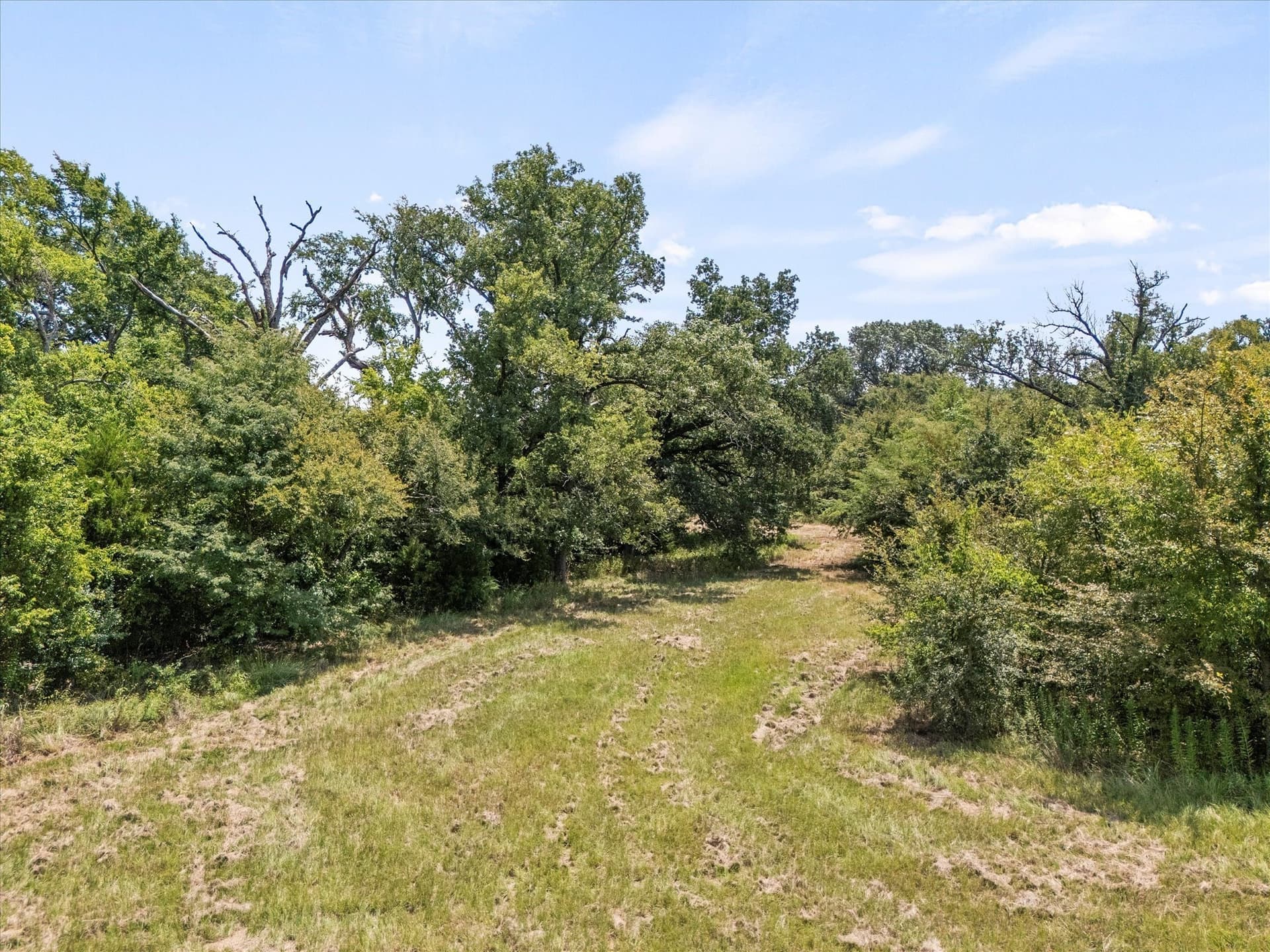 21.64 acres in Van Zandt County - photo 13