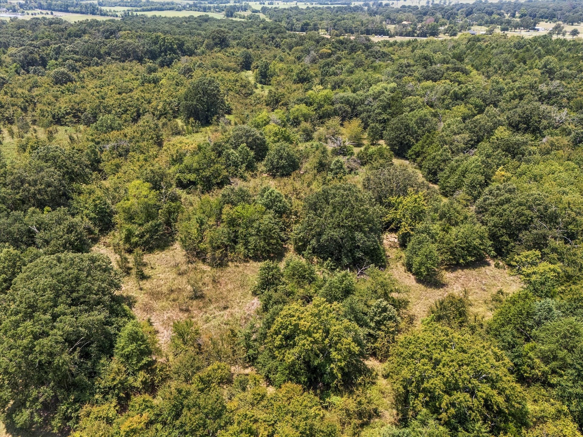 21.64 acres in Van Zandt County - photo 9