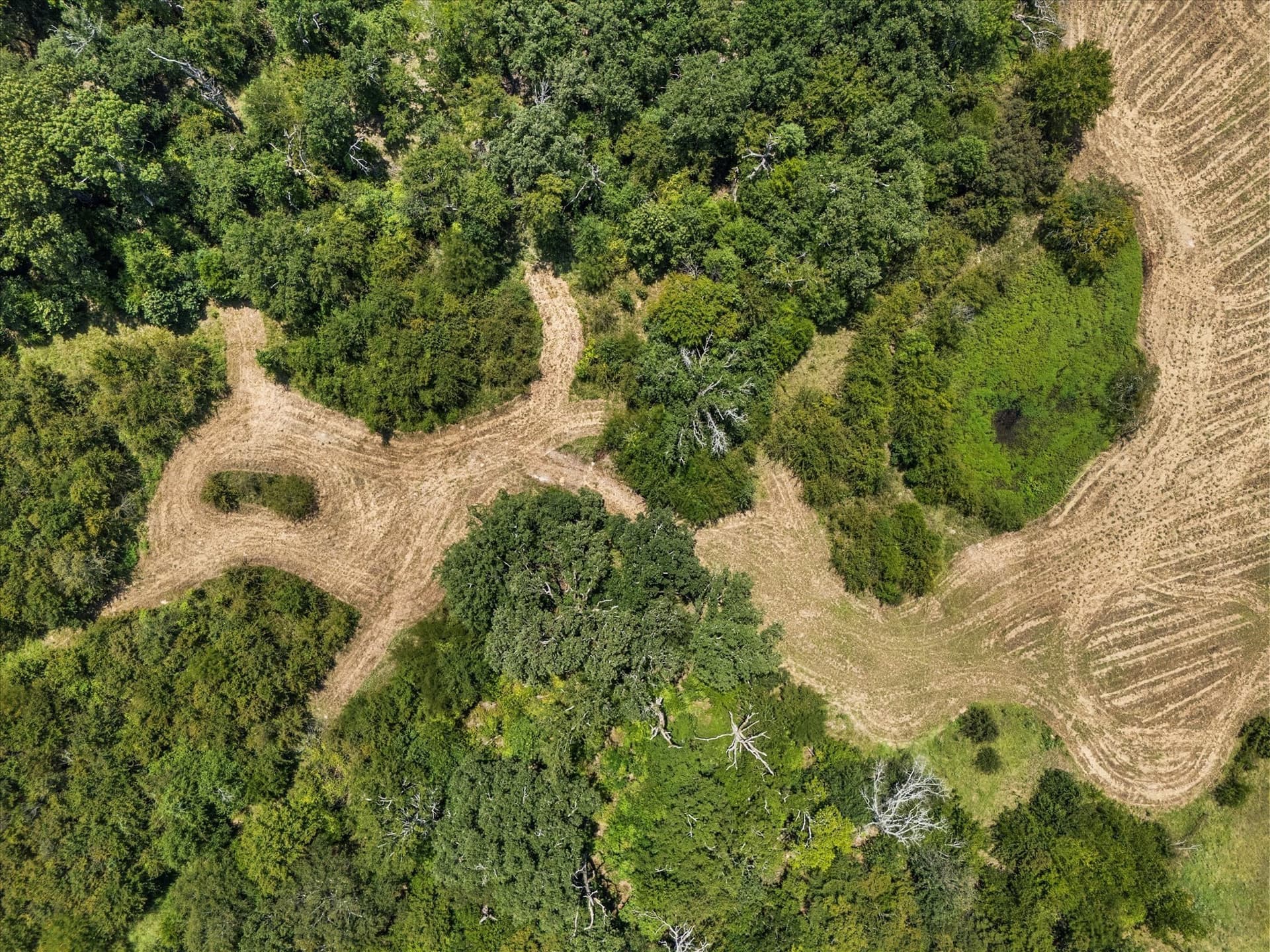 21.64 acres in Van Zandt County - photo 15