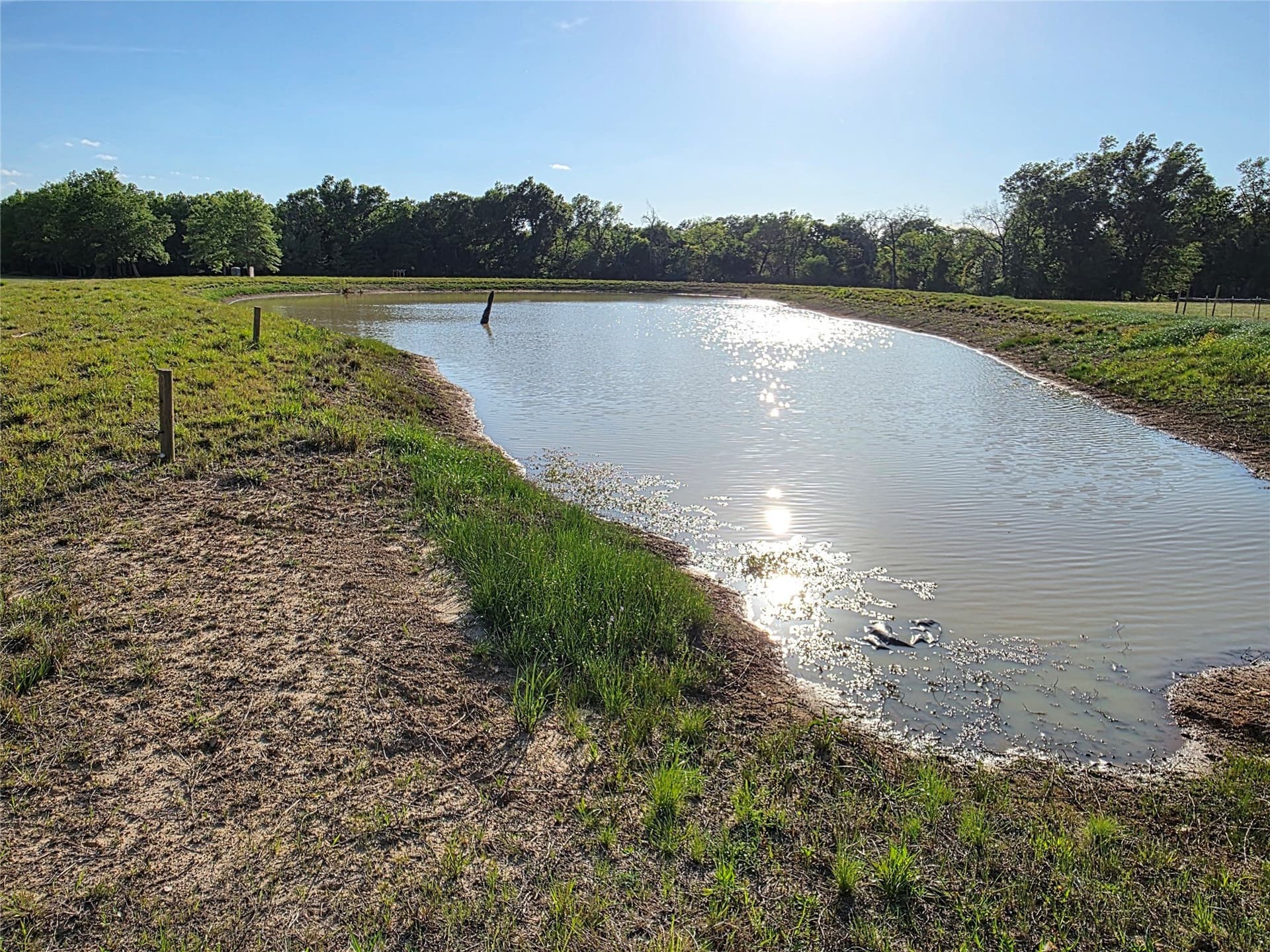 8 acres in Rains County - photo 27