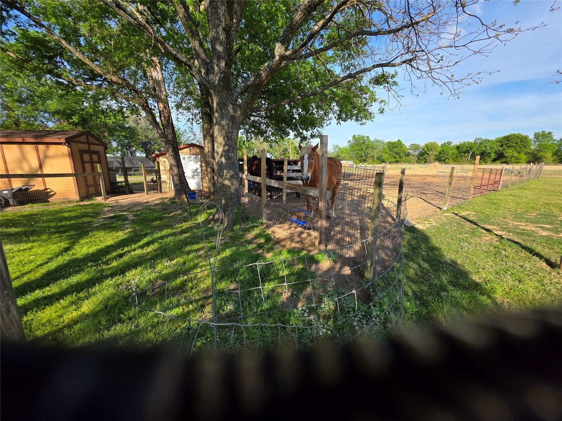 8 acres in Rains County - photo 6