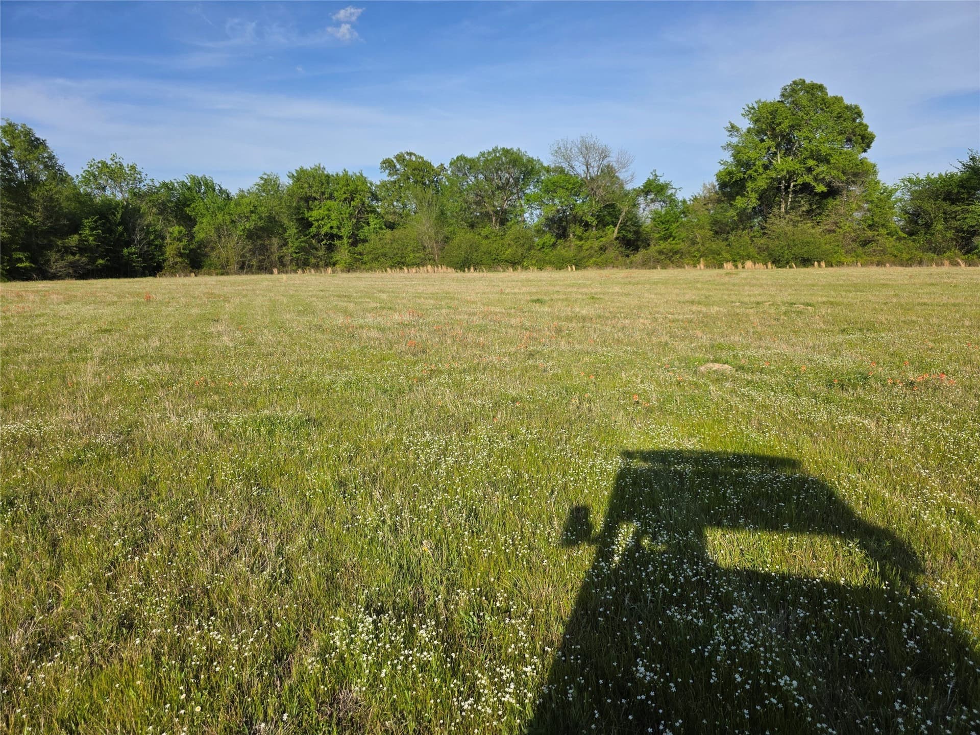 8 acres in Rains County - photo 25