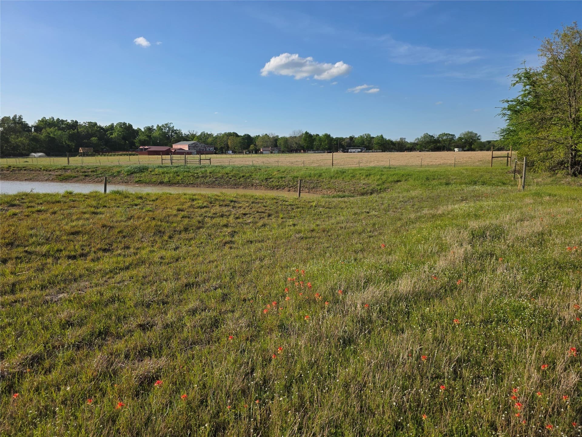 8 acres in Rains County - photo 26