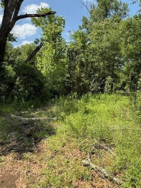 17.05 acres in Anderson County gallery image 2