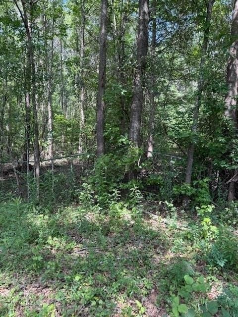 17.05 acres in Anderson County gallery image 3