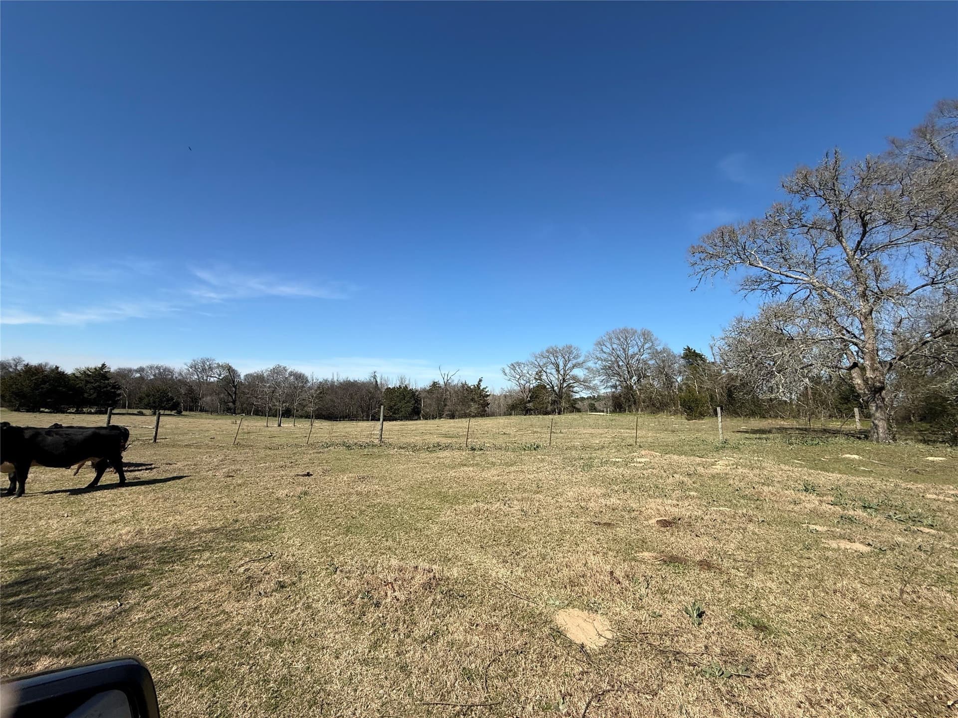 52.26 acres in Houston County - photo 7