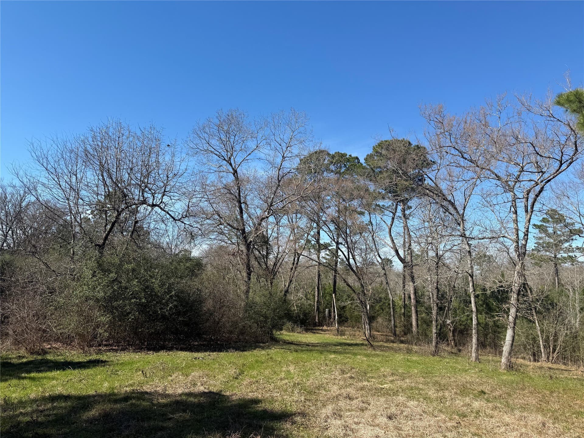 52.26 acres in Houston County gallery image 4