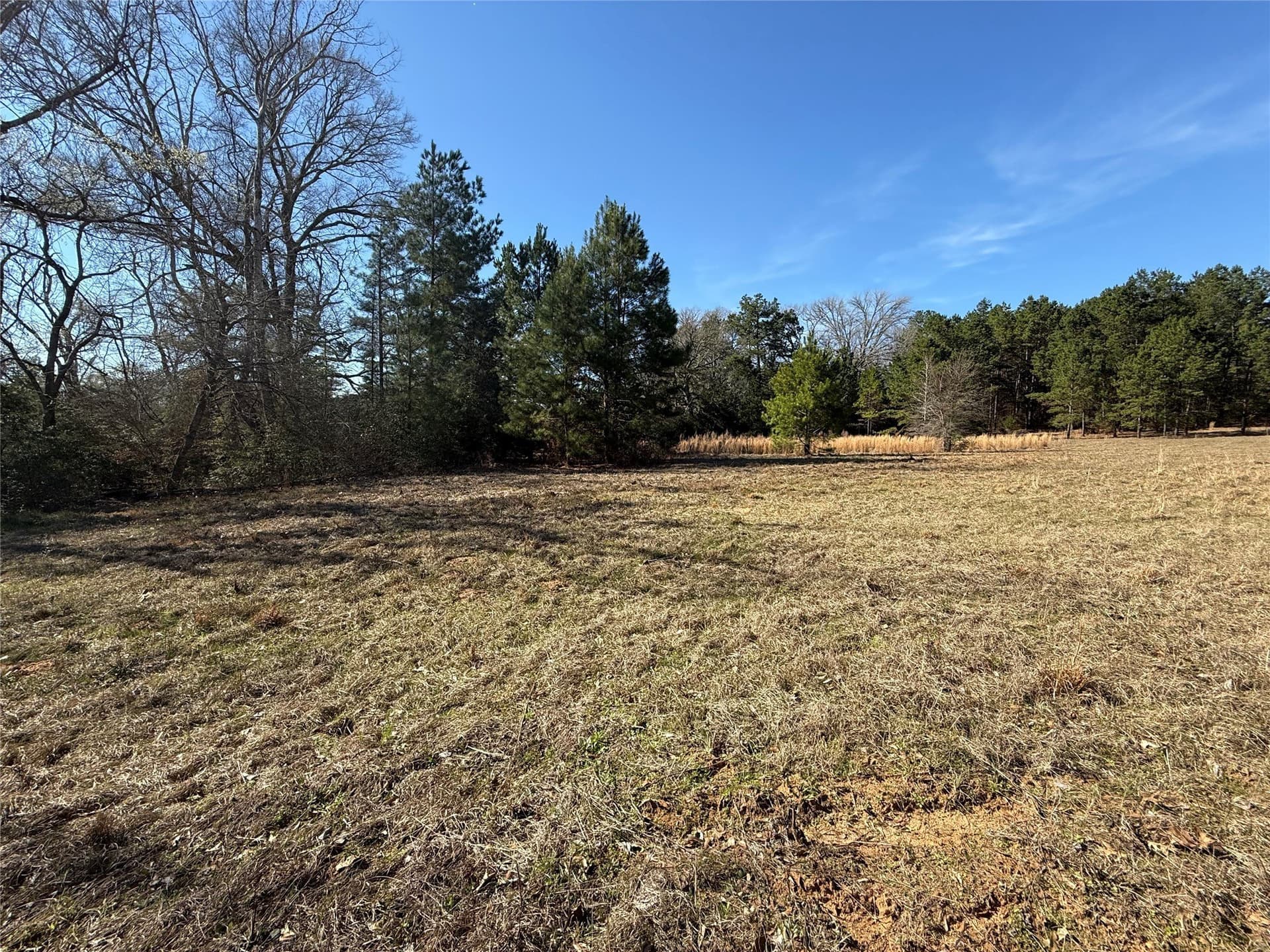 52.26 acres in Houston County - photo 12