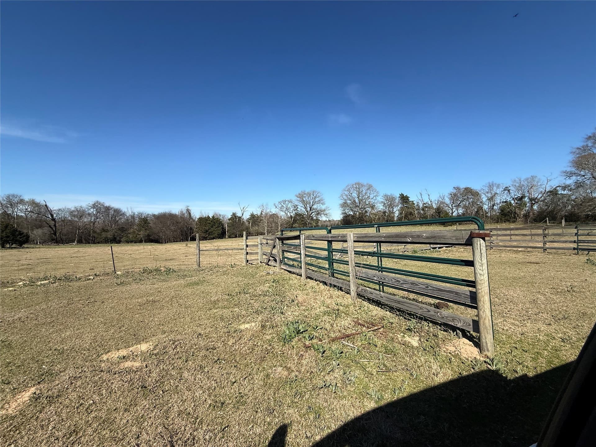 52.26 acres in Houston County - photo 6