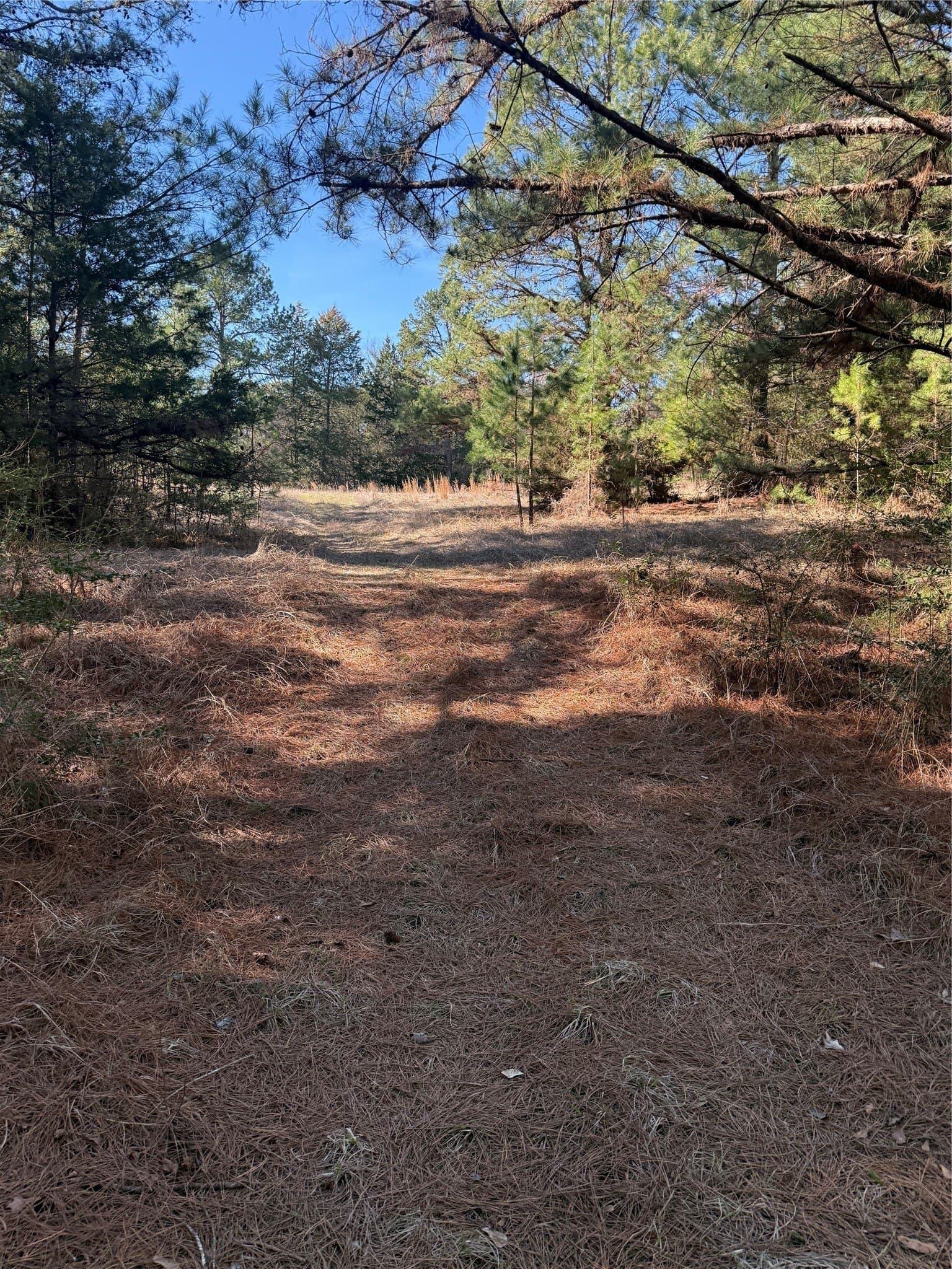52.26 acres in Houston County - photo 9