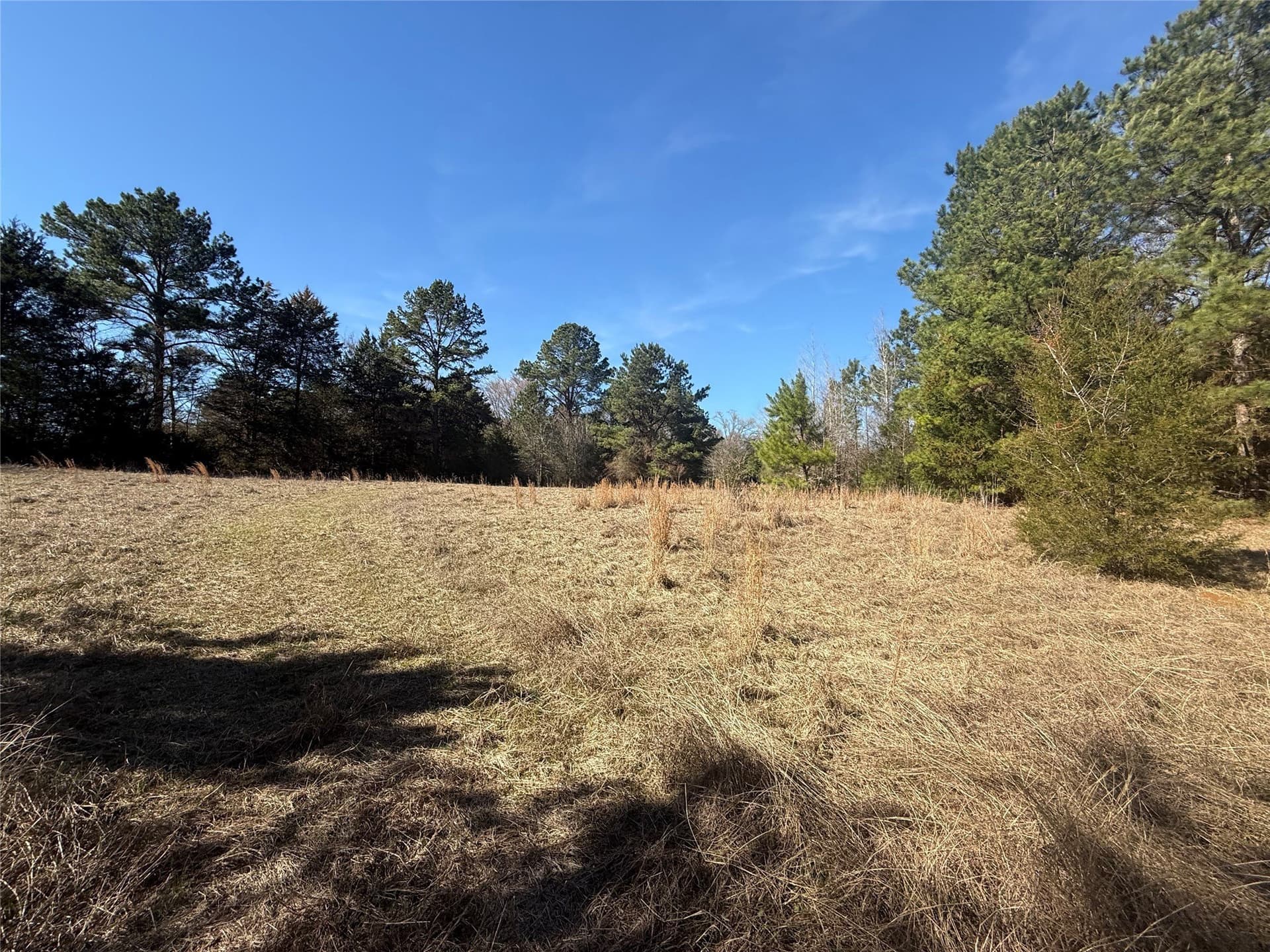 52.26 acres in Houston County - photo 8