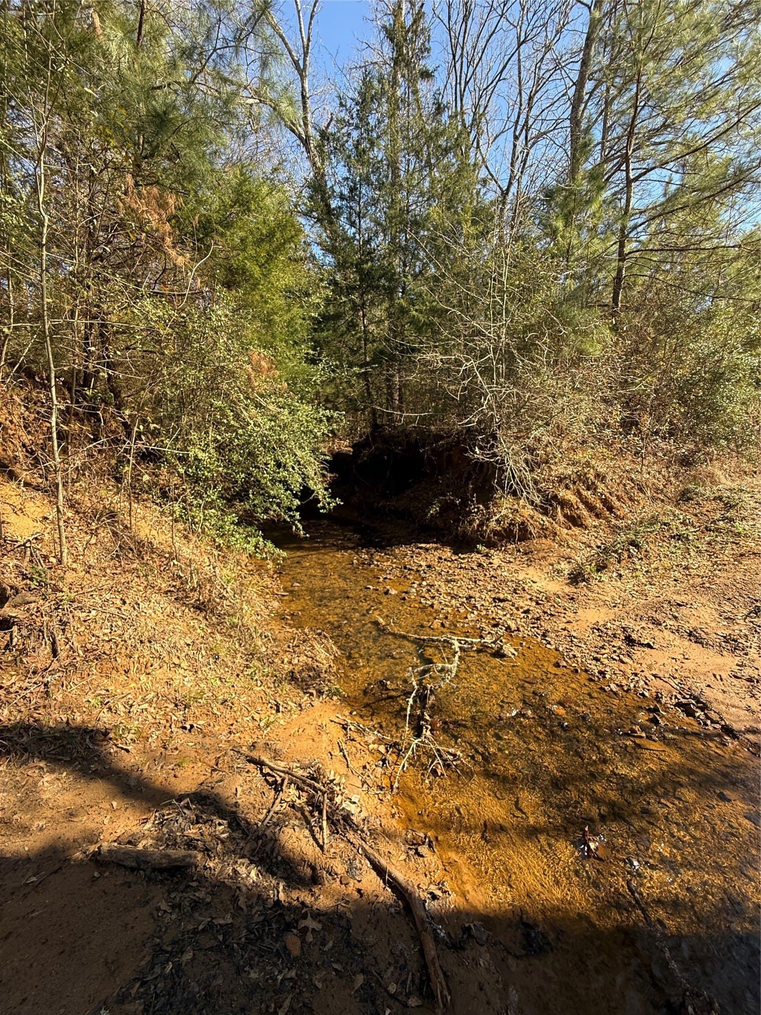 52.26 acres in Houston County gallery image 3