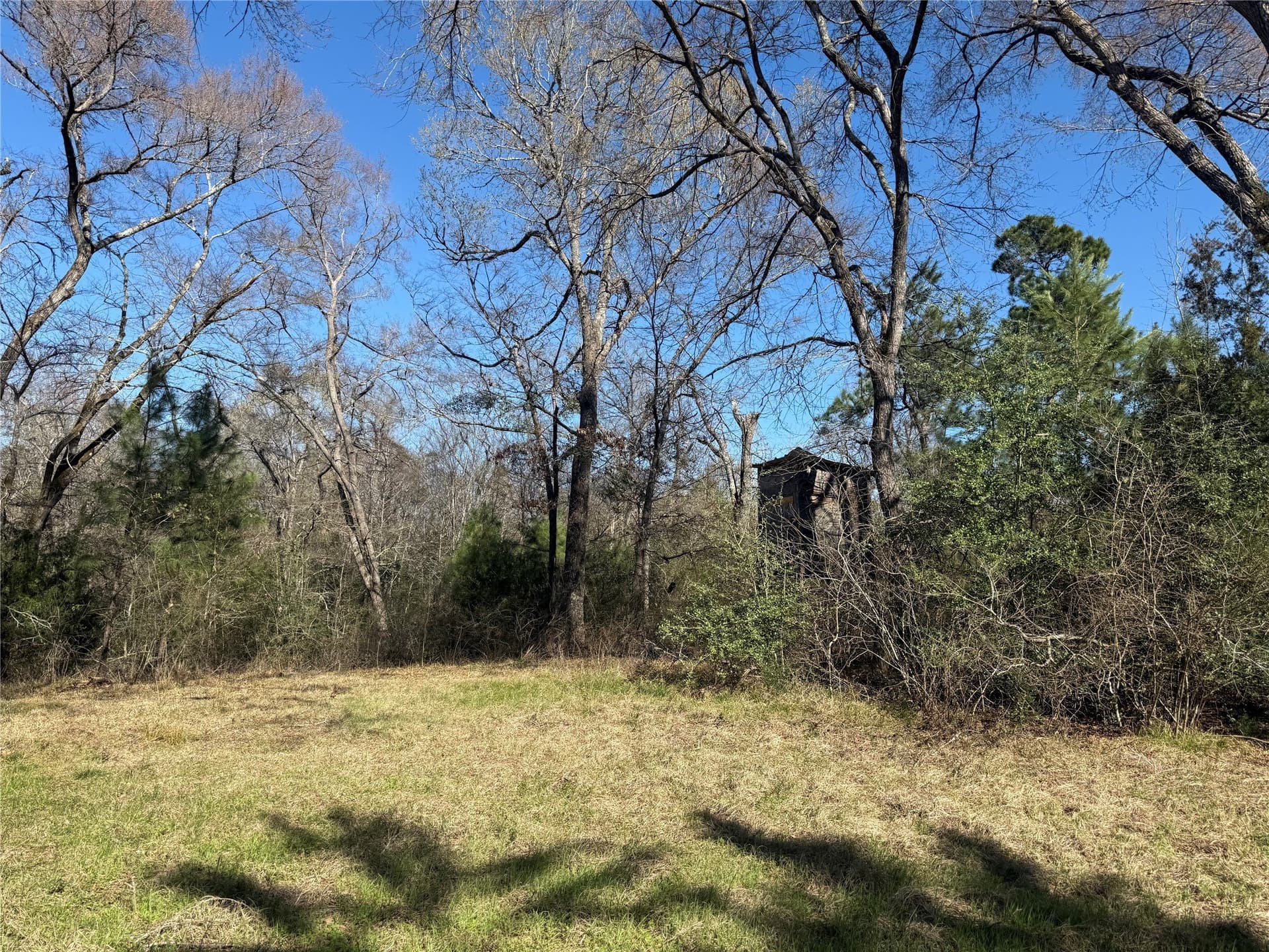 52.26 acres in Houston County gallery image 2
