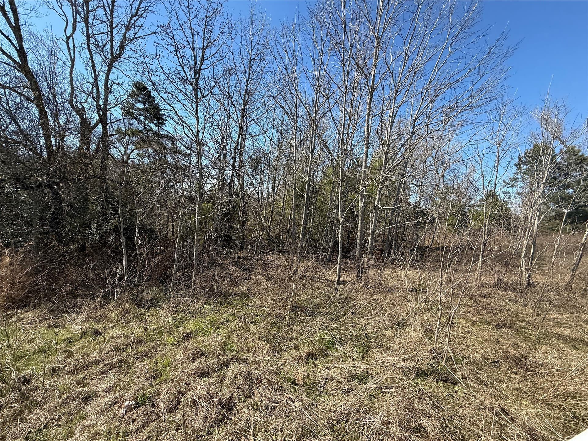 52.26 acres in Houston County featured view