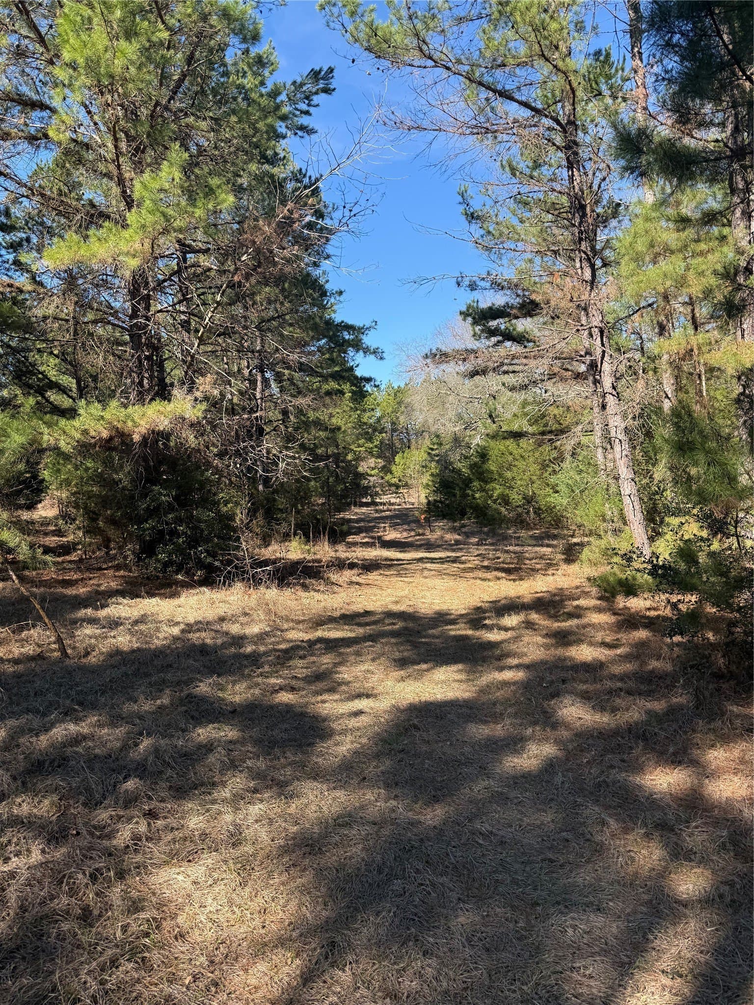 52.26 acres in Houston County - photo 11