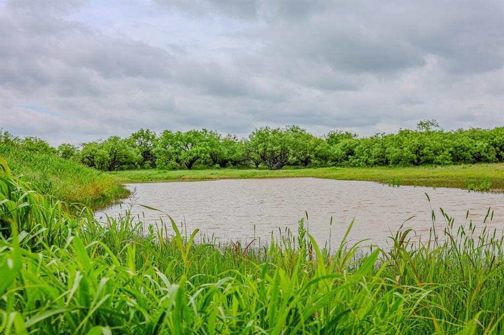 491.08 acres in Callahan County gallery image 4