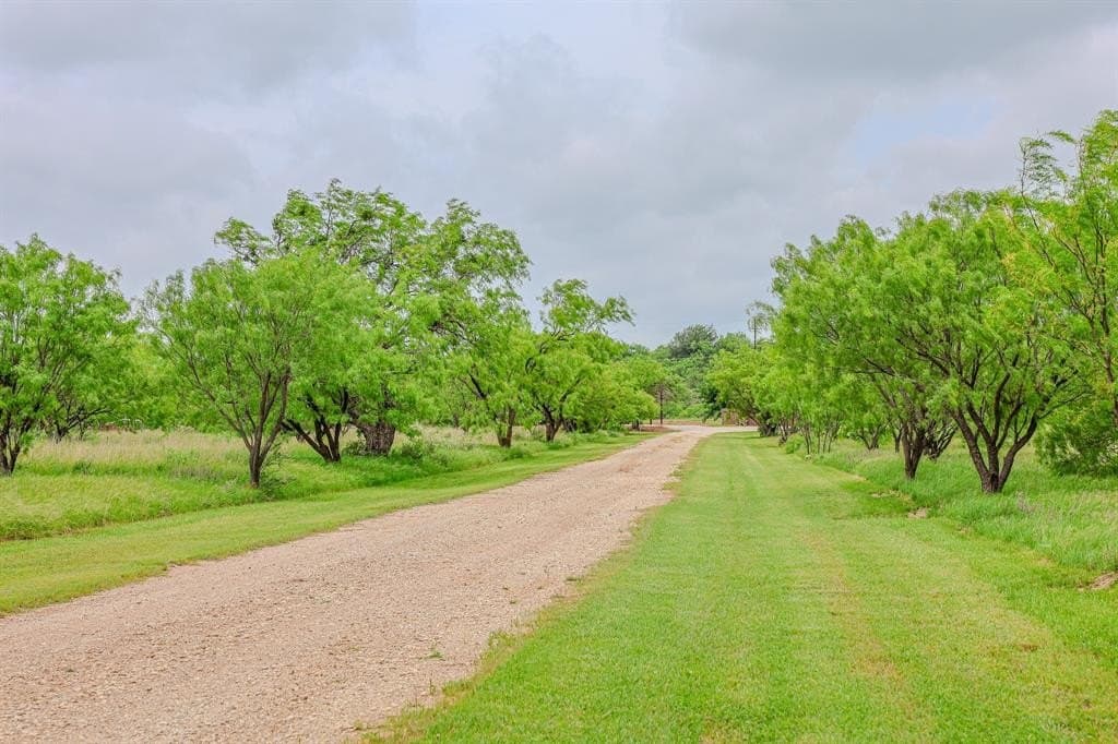 491.08 acres in Callahan County gallery image 3