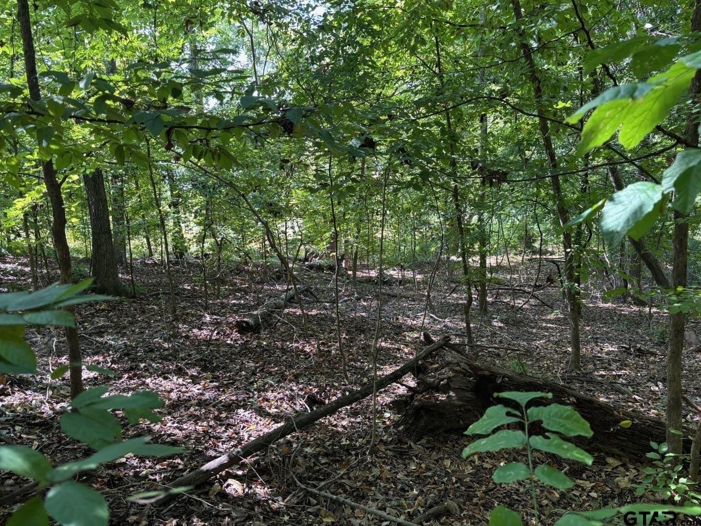 0.5 acres in Smith County gallery image 2