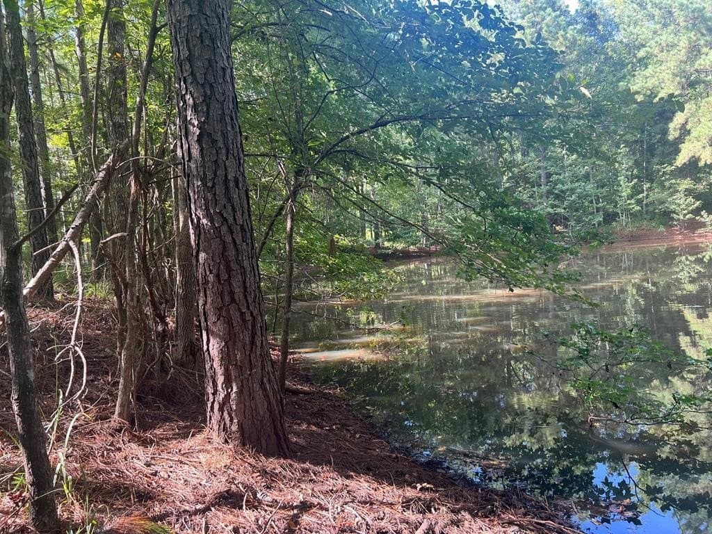 50 acres in ANDERSON County