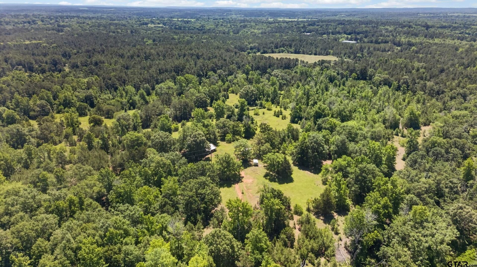 50 acres in Anderson County gallery image 4
