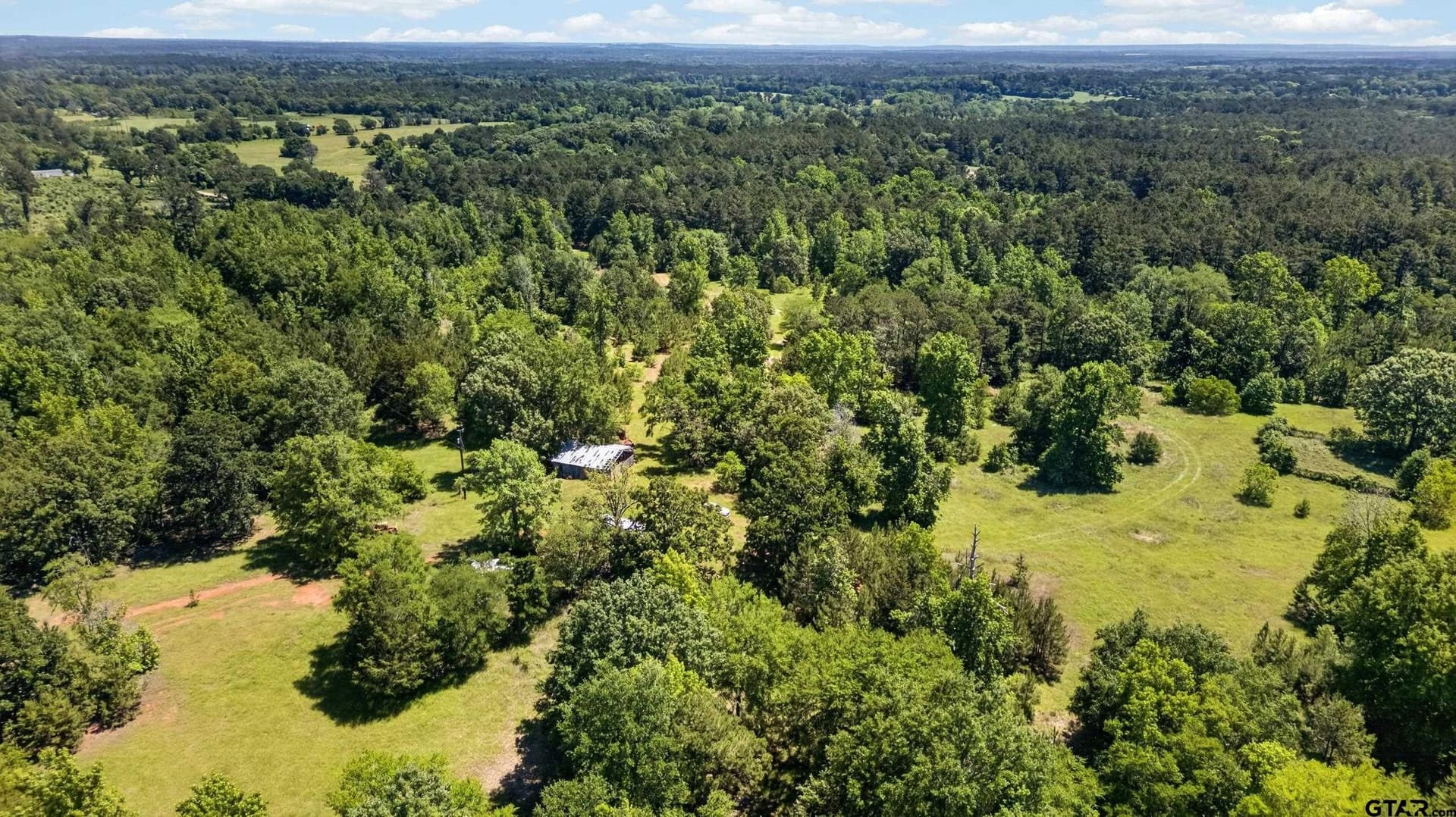 50 acres in Anderson County gallery image 2