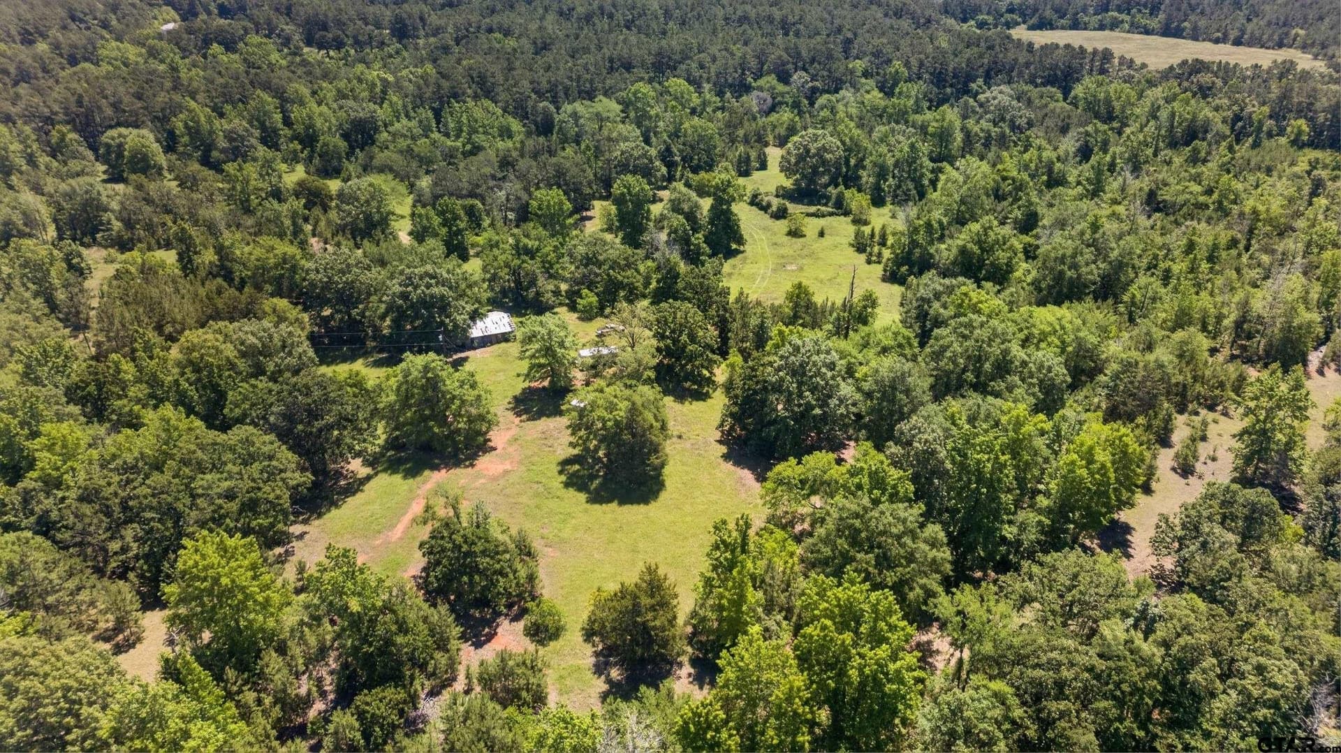 50 acres in Anderson County gallery image 3