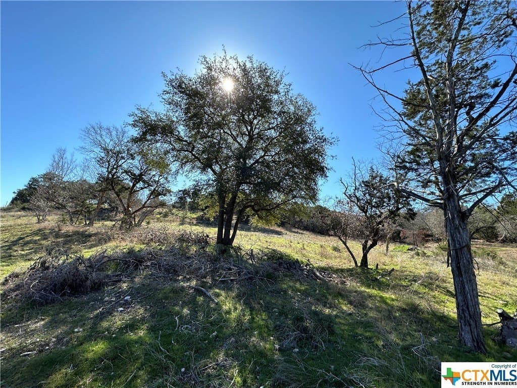 3.34 acres in Bell County - photo 10