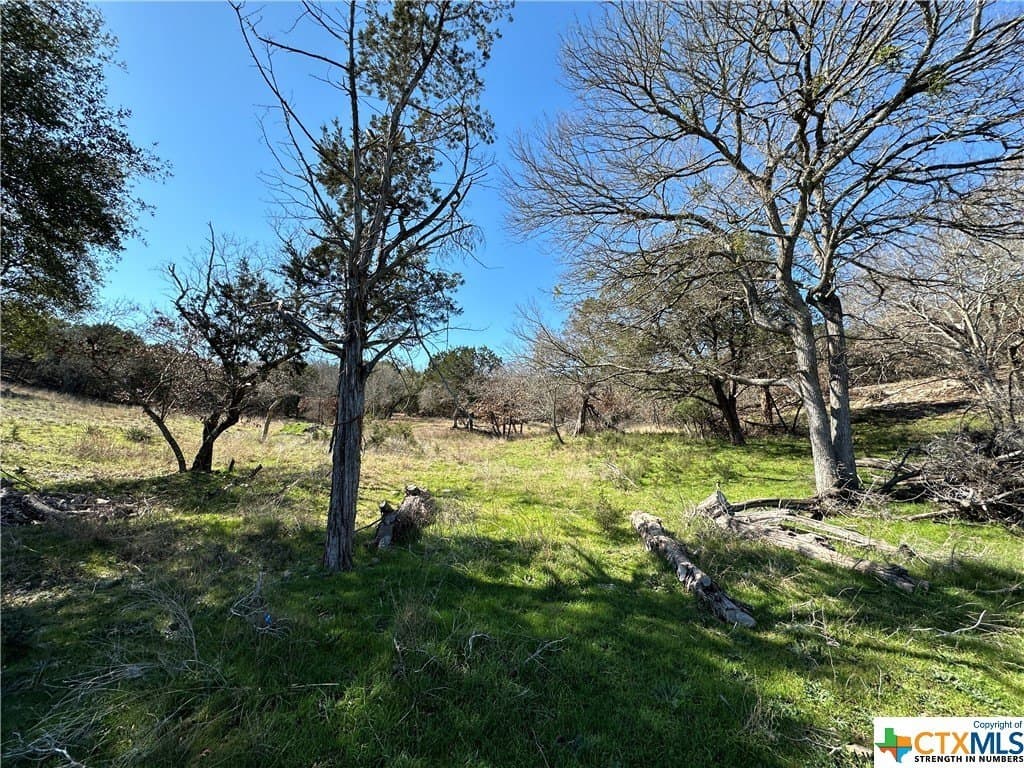 3.34 acres in Bell County - photo 11