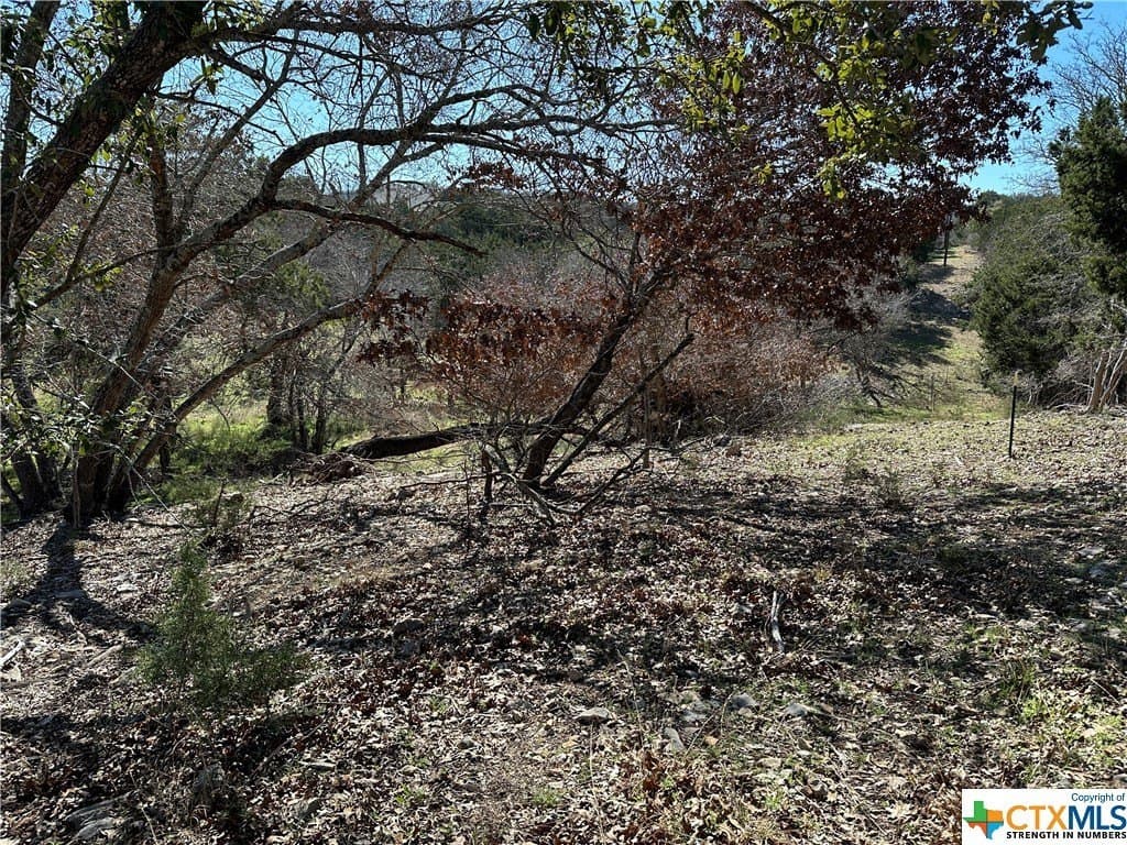 3.34 acres in Bell County - photo 9