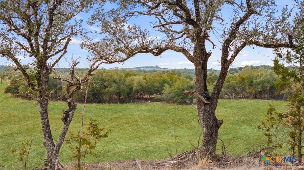 11.74 acres in Hays County gallery image 3