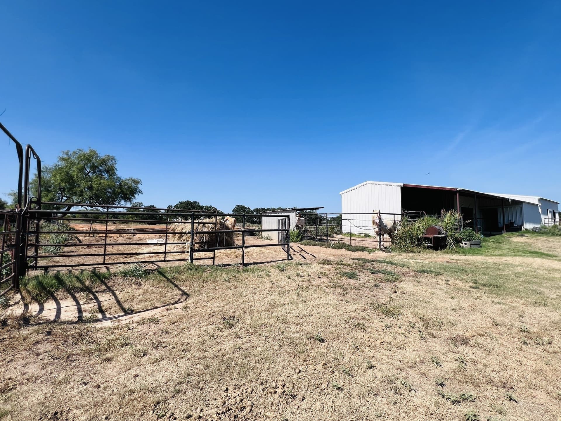 10 acres in Wise County - photo 36