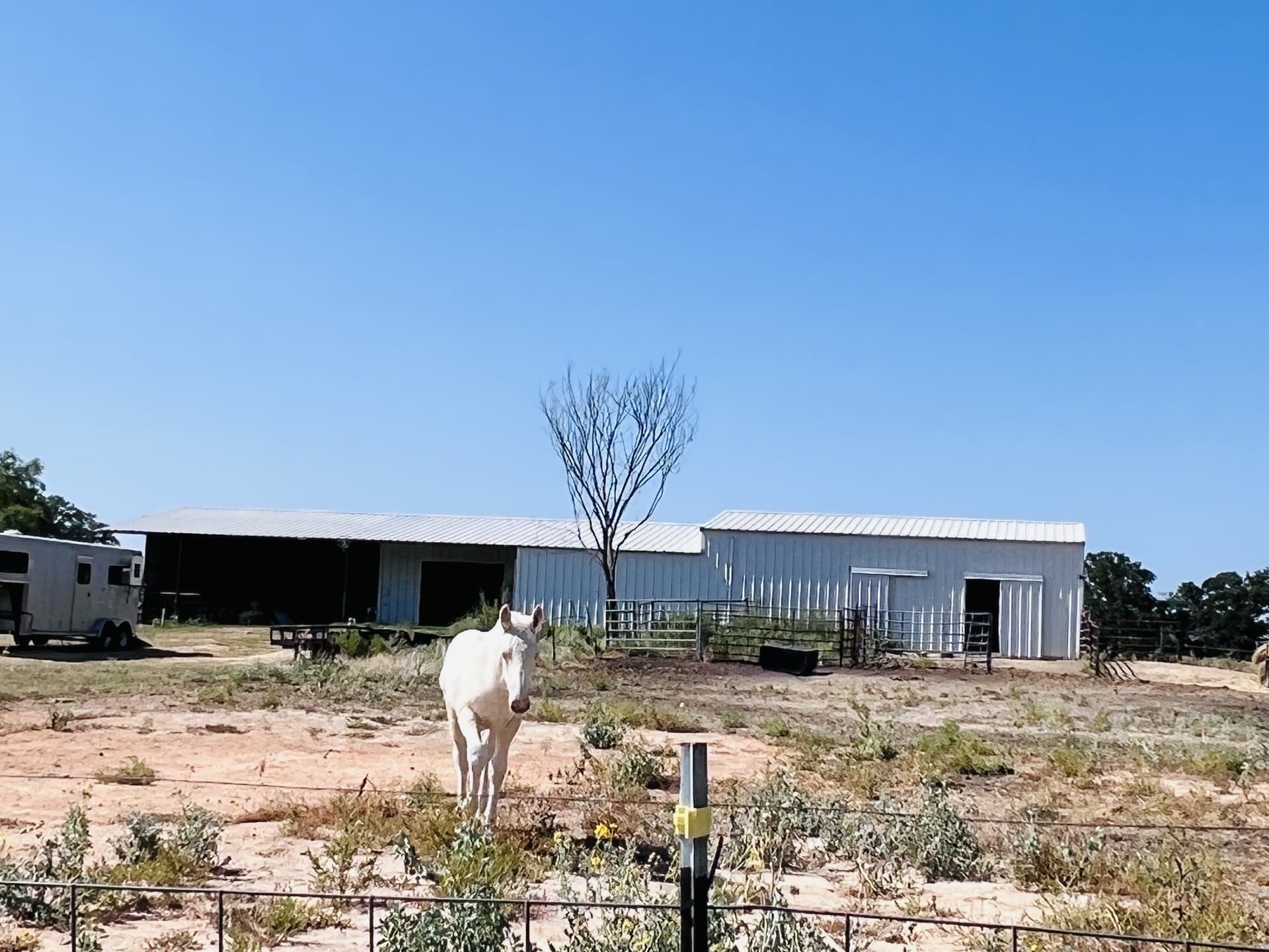 10 acres in Wise County - photo 26