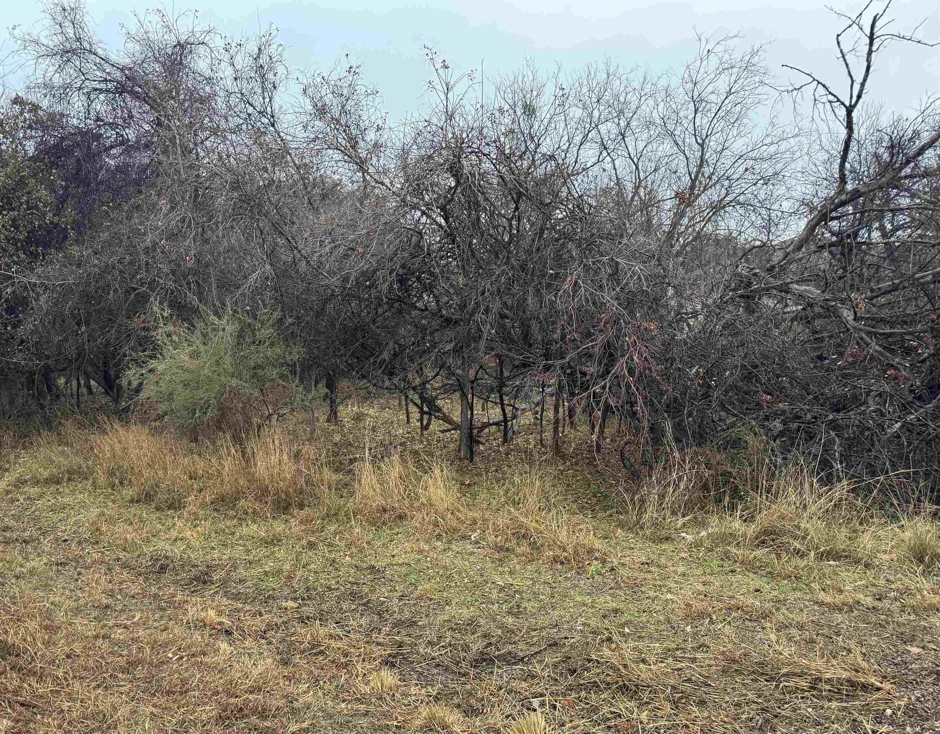 0.35 acres in Burnet County - photo 2