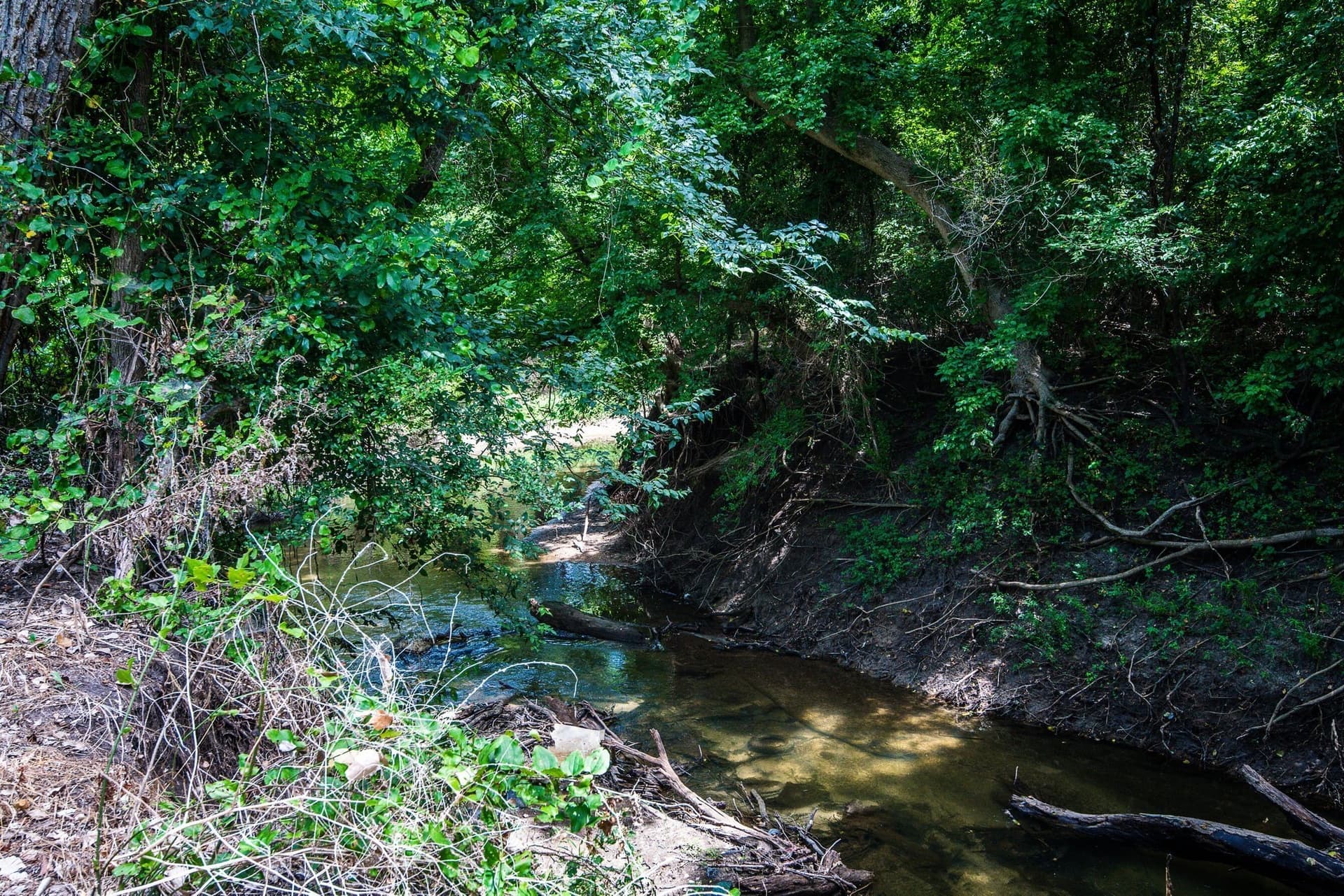 30.03 acres in Ellis County - photo 6