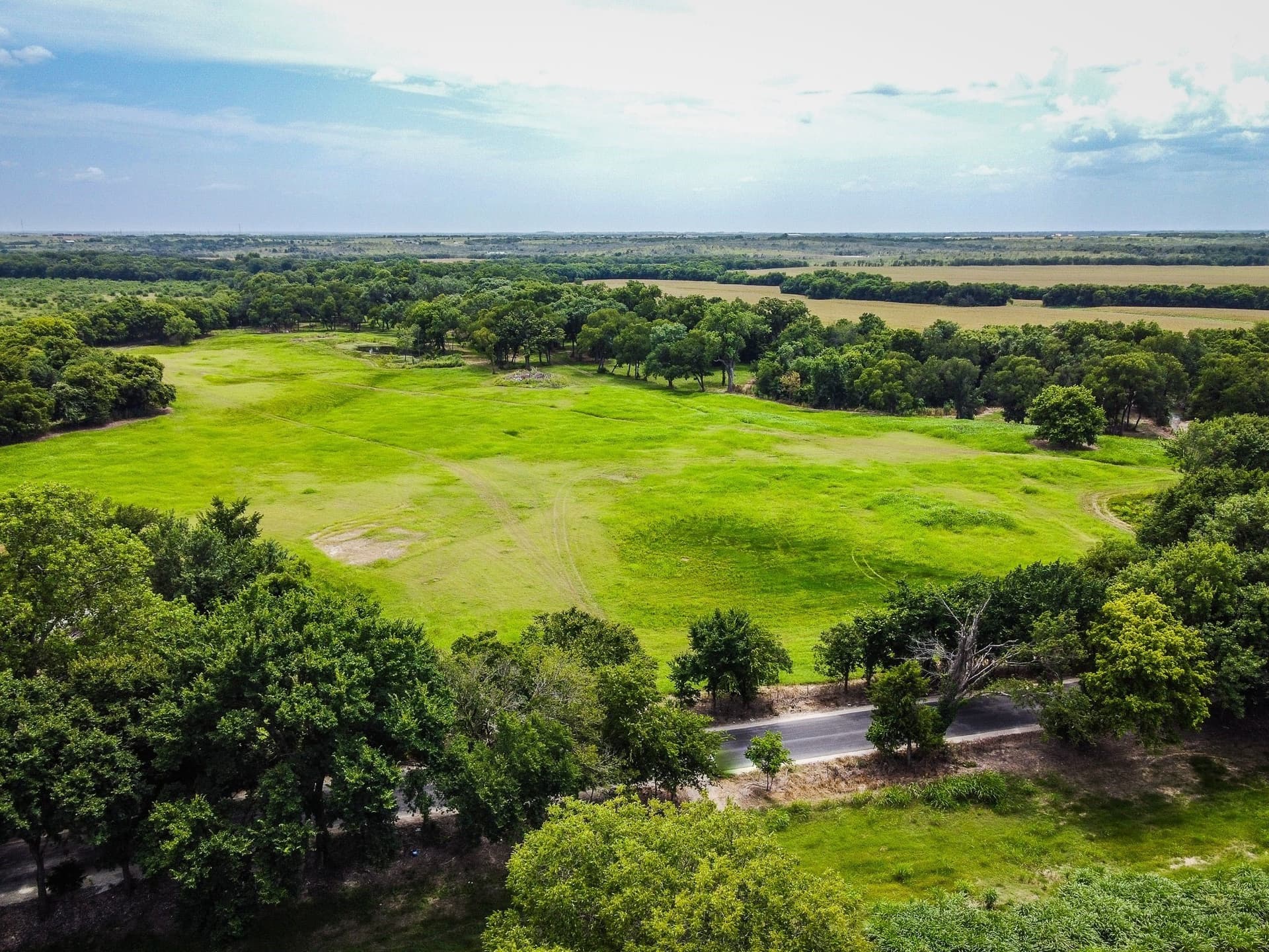 30.03 acres in Ellis County gallery image 3