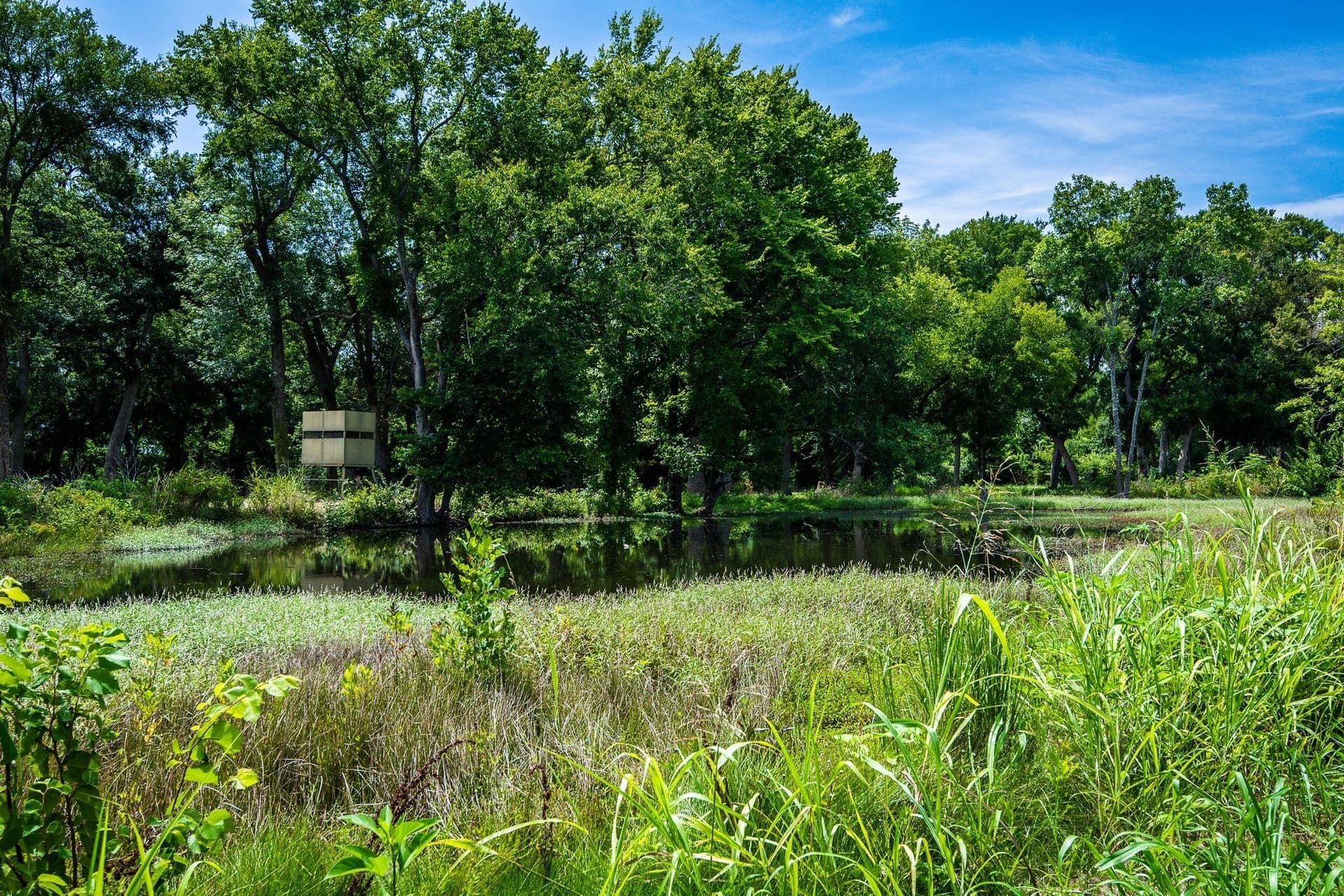 30.03 acres in Ellis County - photo 11