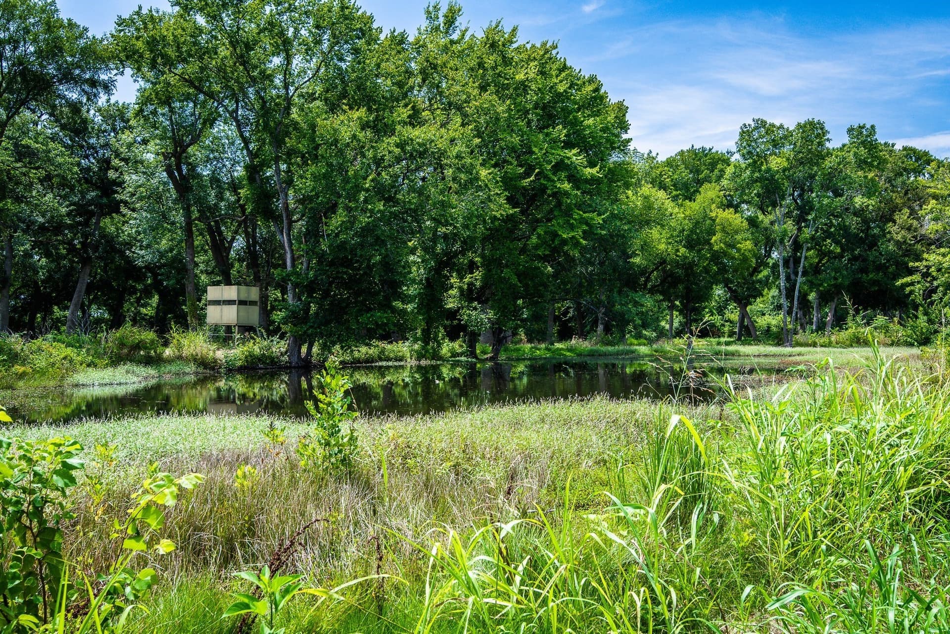 30.03 acres in Ellis County - photo 10