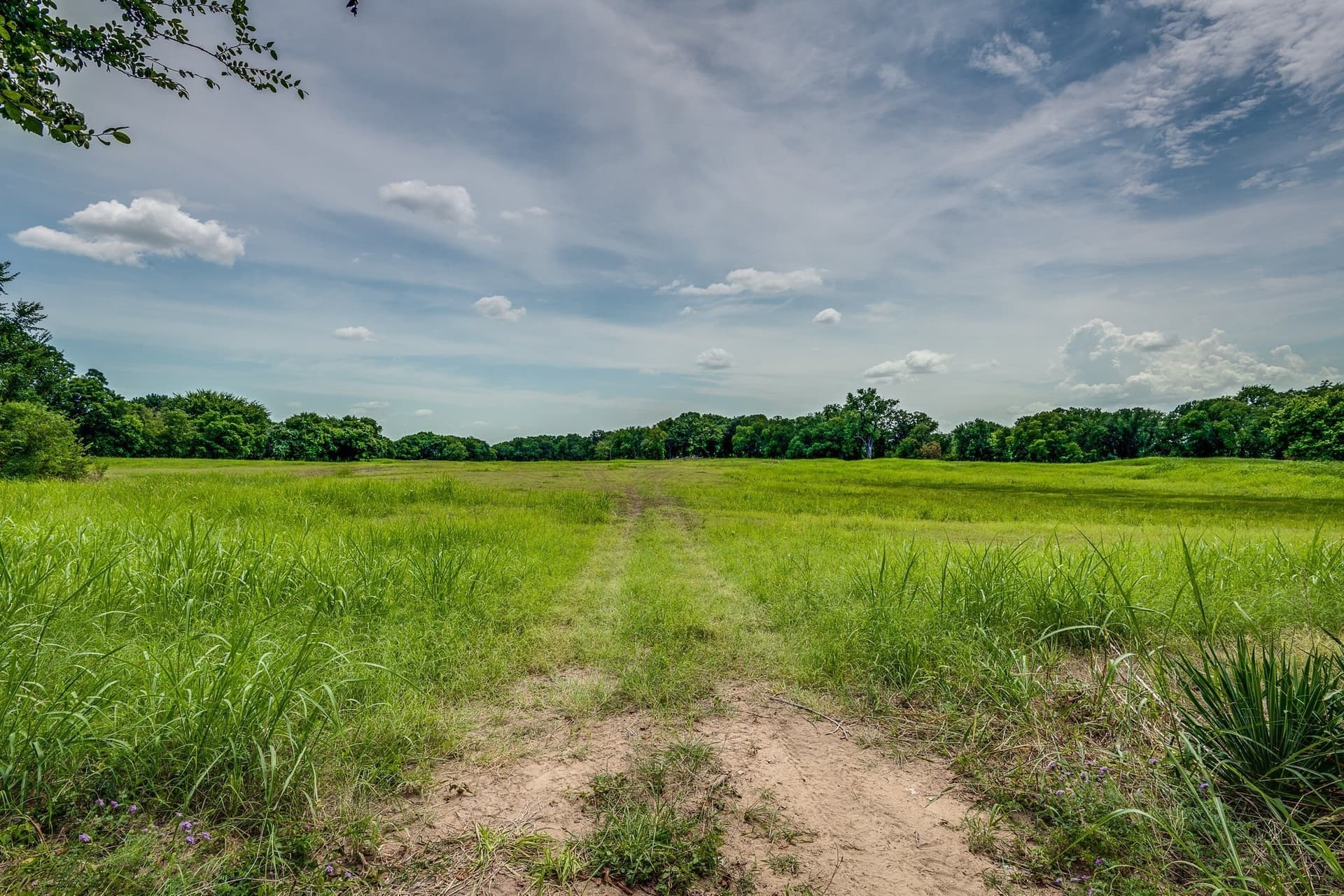30.03 acres in Ellis County - photo 8