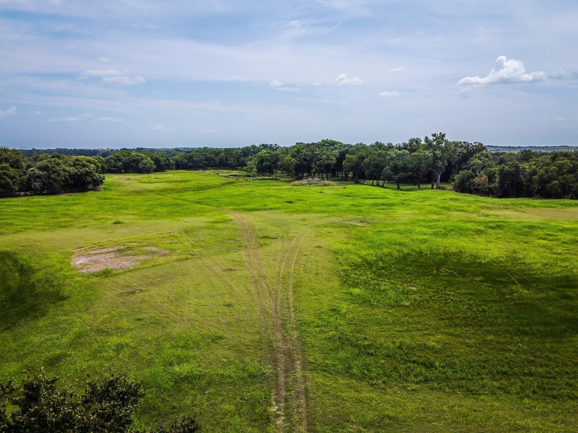 30.03 acres in Ellis County gallery image 2