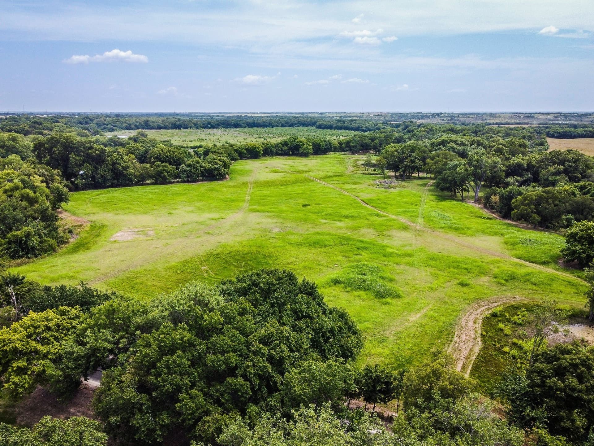 30.03 acres in Ellis County gallery image 4