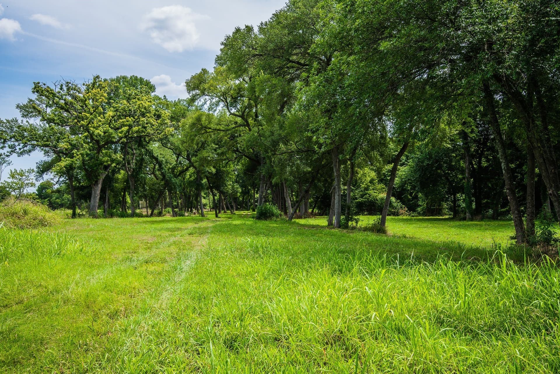 30.03 acres in Ellis County - photo 14