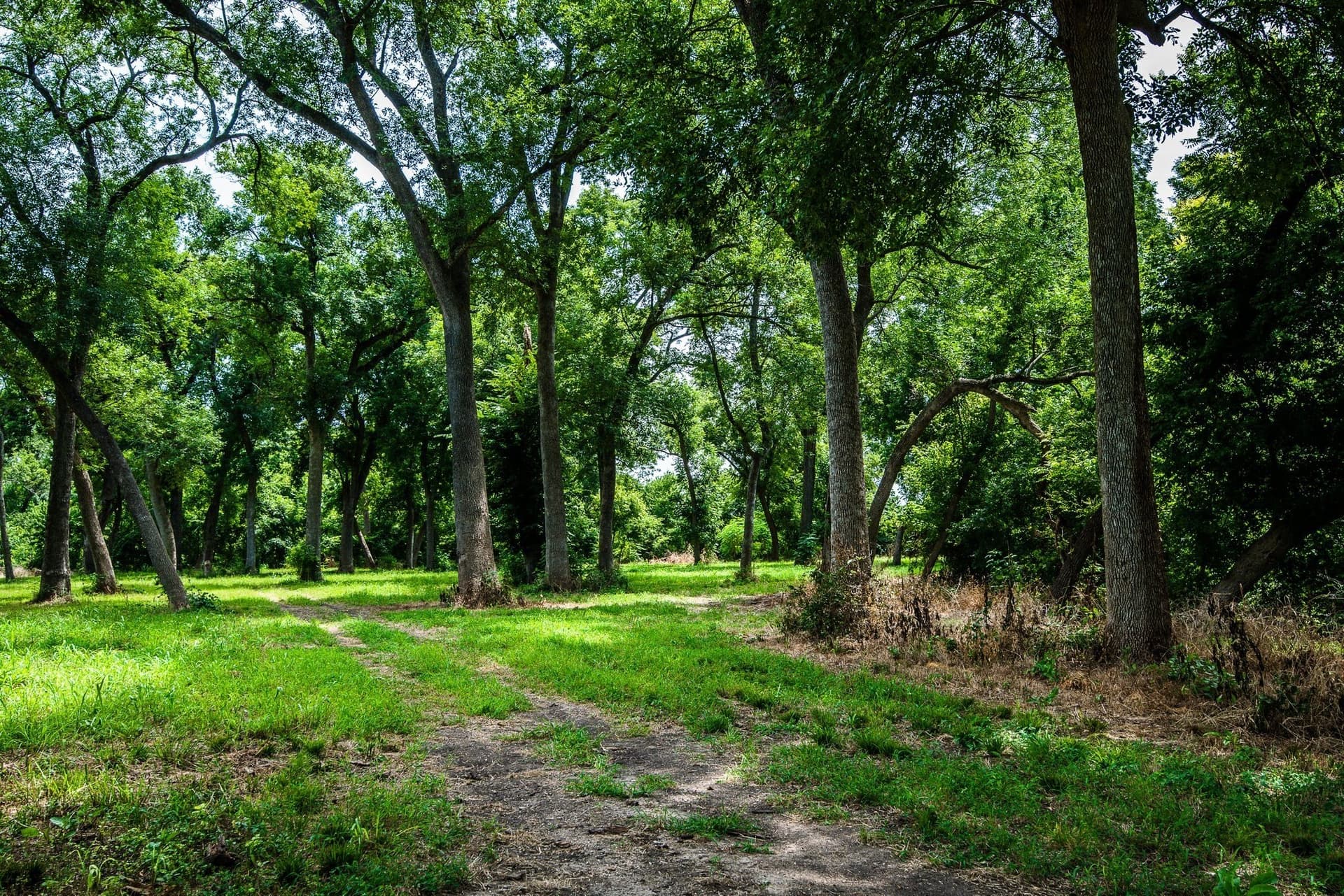 30.03 acres in Ellis County - photo 13