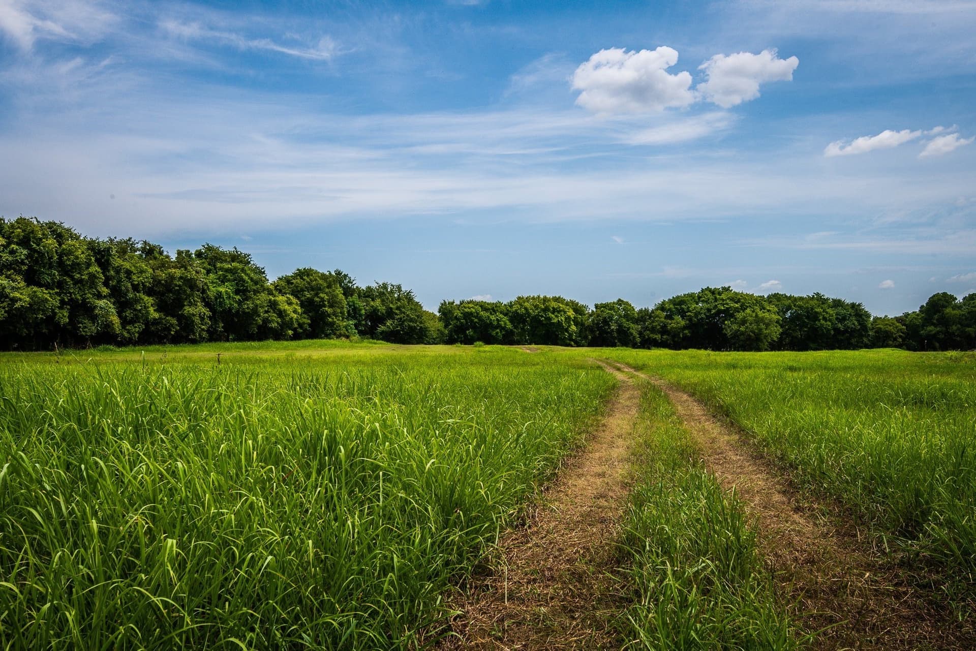 30.03 acres in Ellis County - photo 9