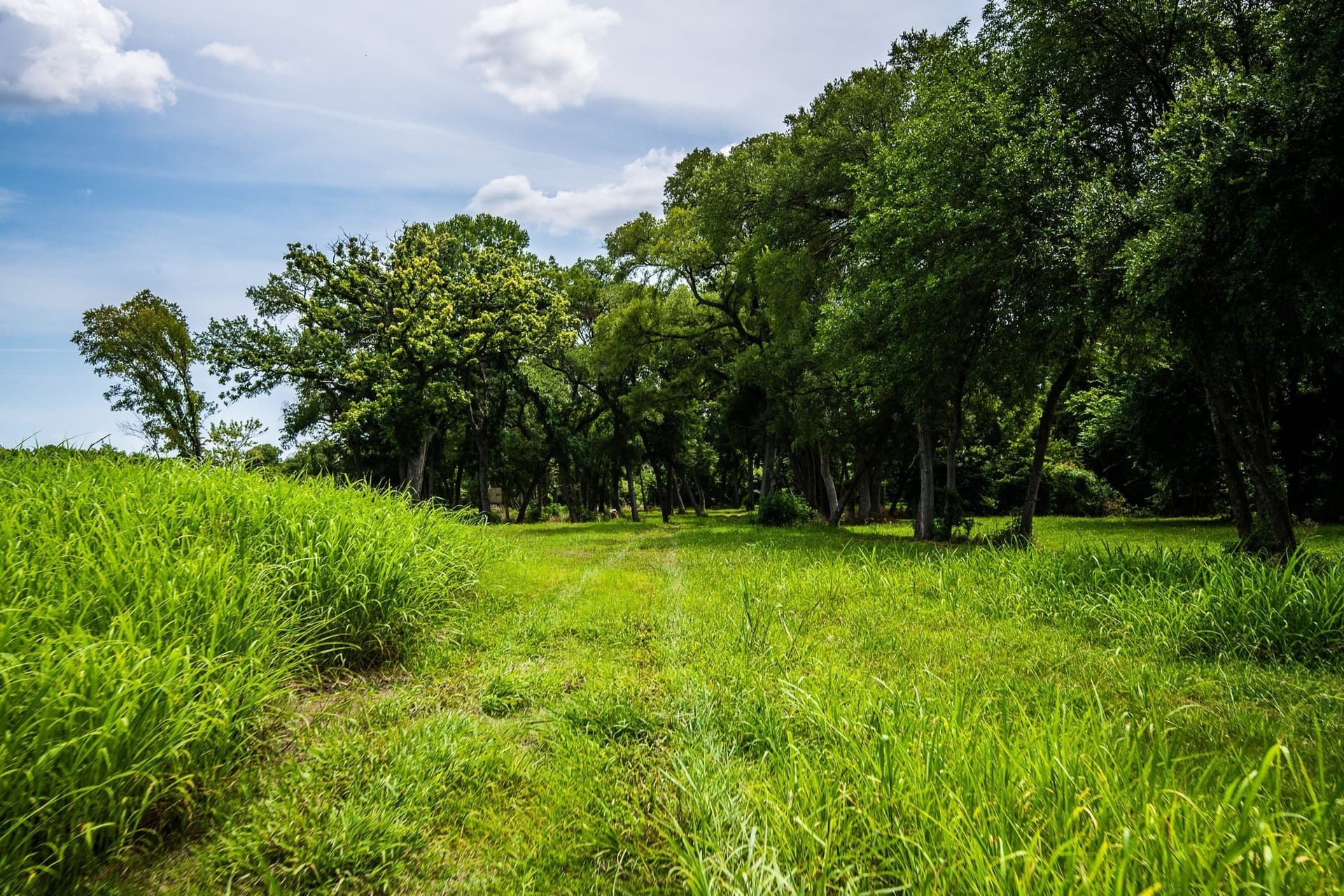 30.03 acres in Ellis County - photo 12