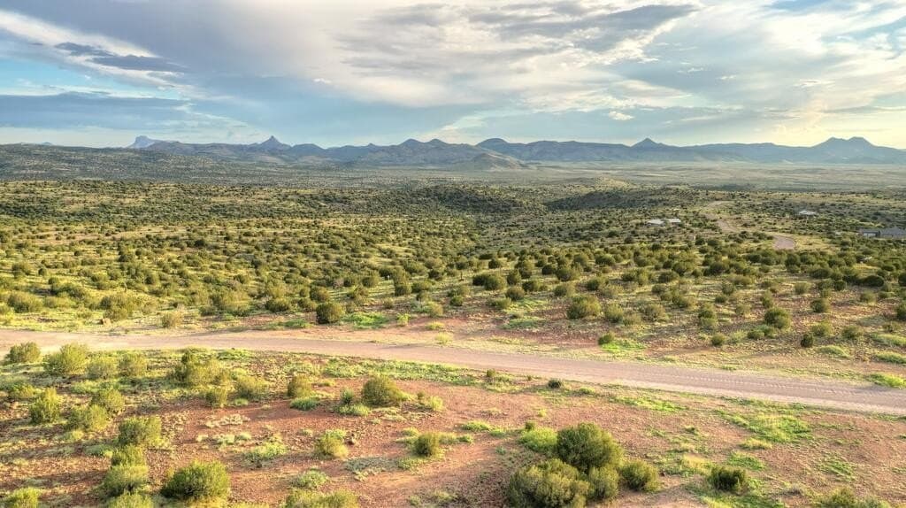 10 acres in Brewster County - photo 4
