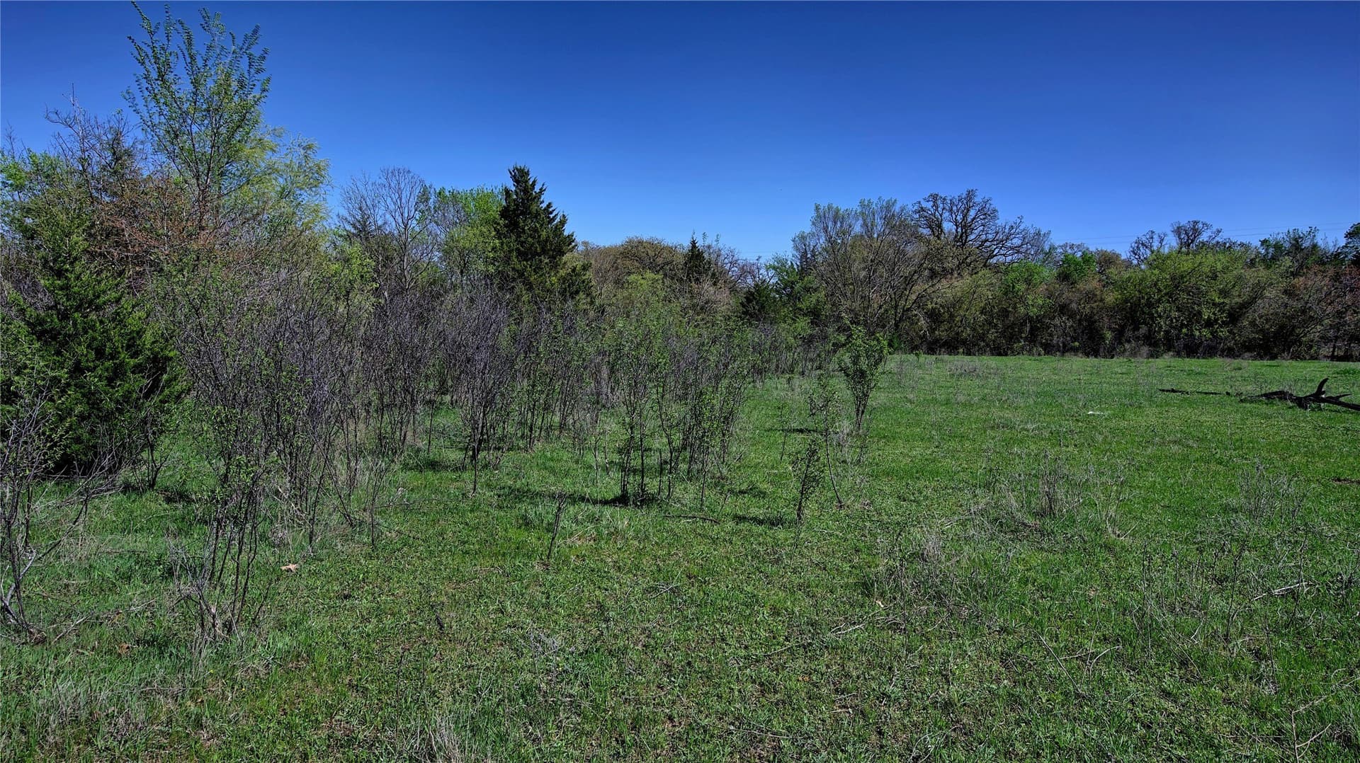 33.59 acres in Montague County - photo 8