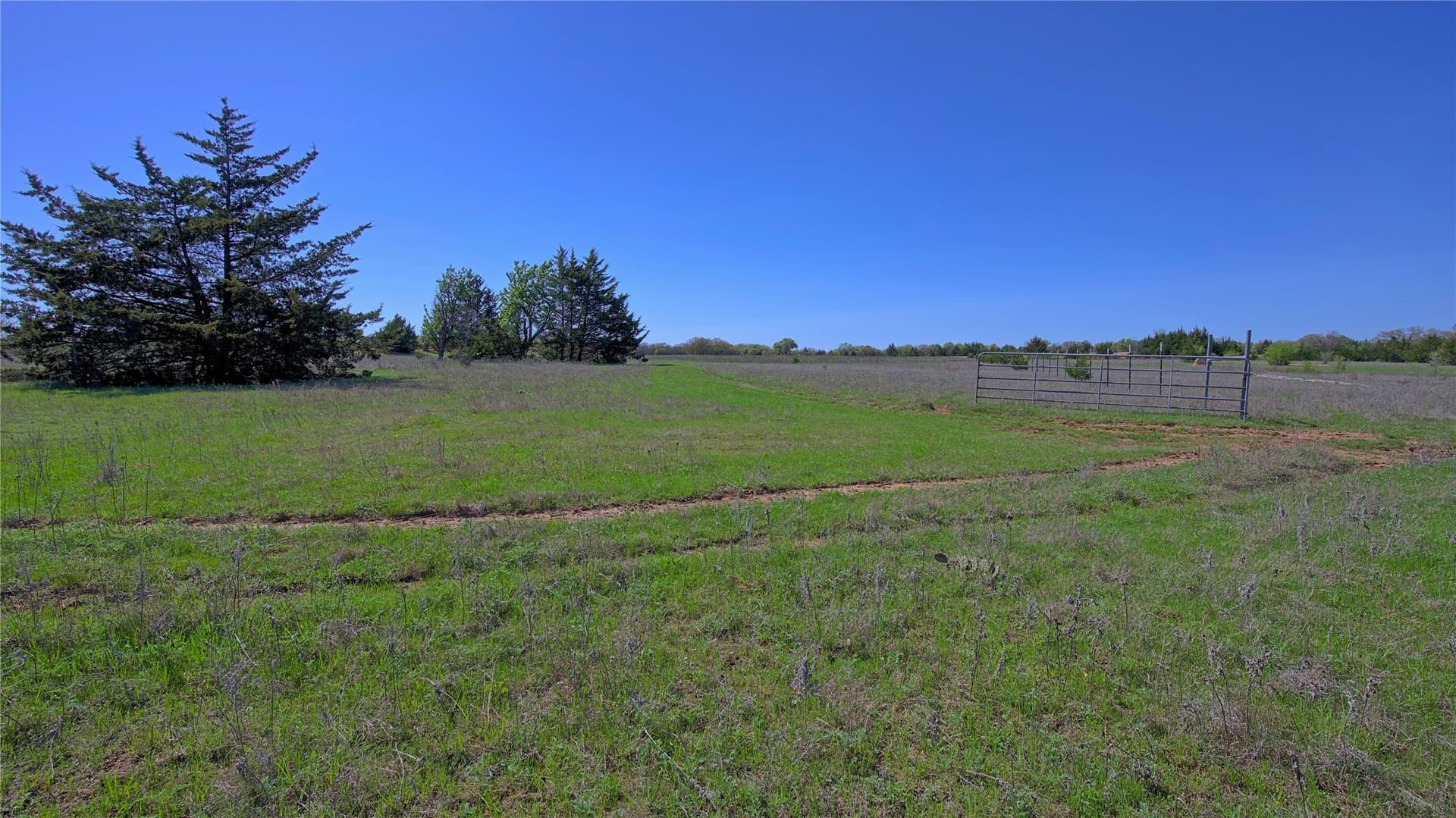 33.59 acres in Montague County - photo 4