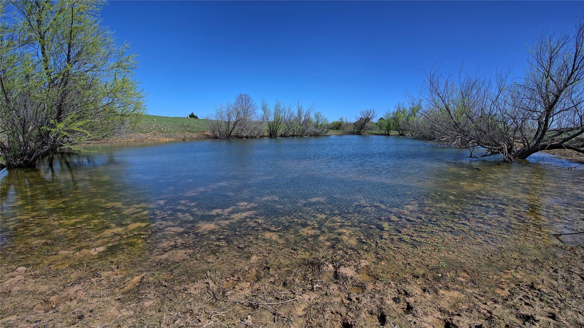 33.59 acres in Montague County - photo 10