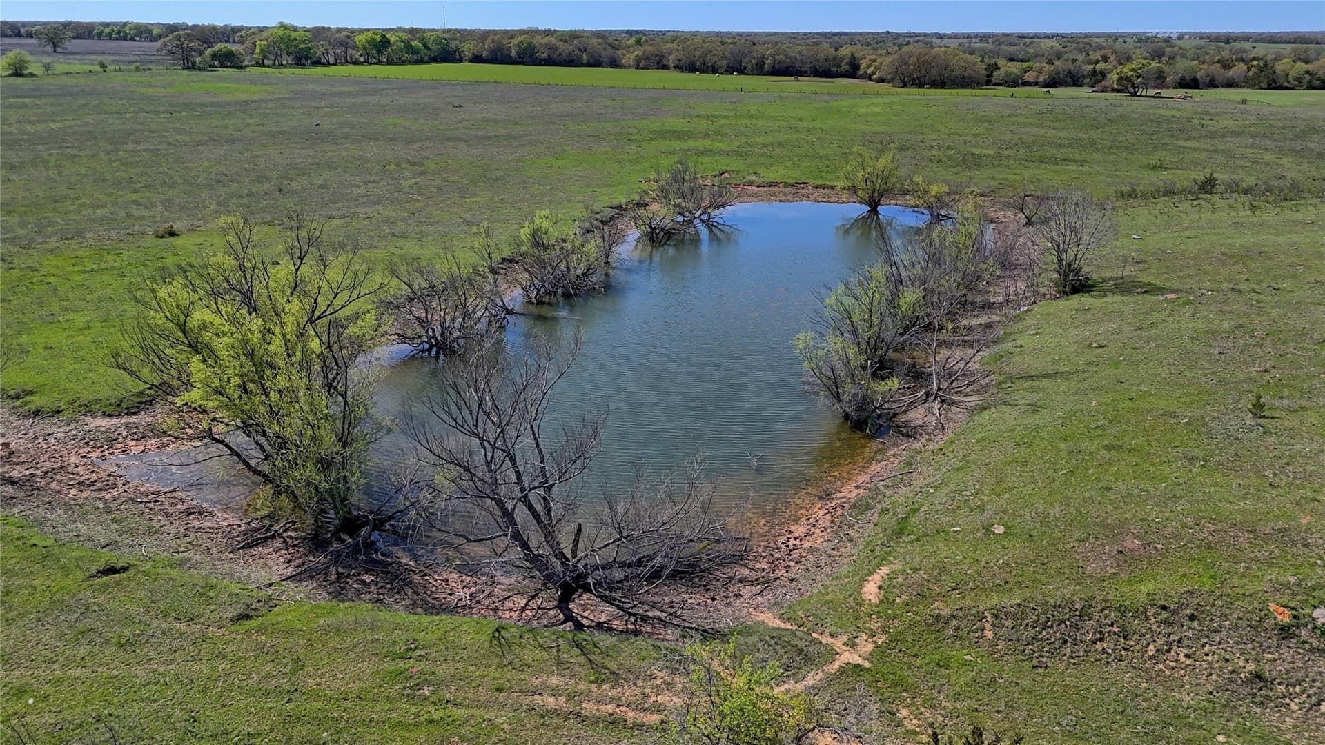 33.59 acres in Montague County - photo 2
